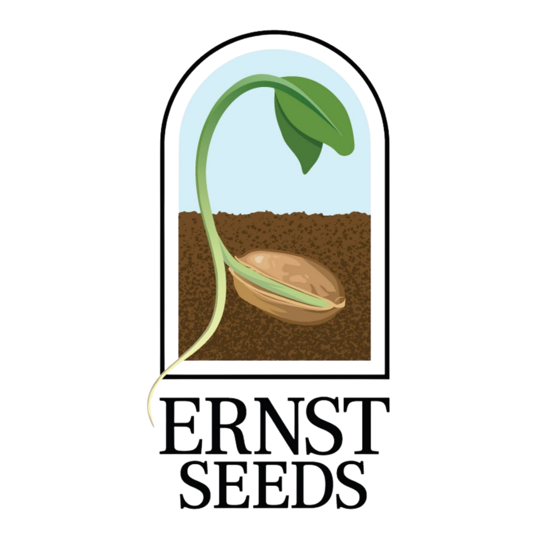 Illustration of a sprouting seed with soil at the bottom. Text reading 'Ernst Seed' is overlaid on the image.