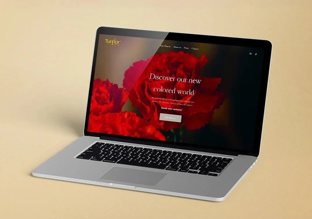Turflor Website