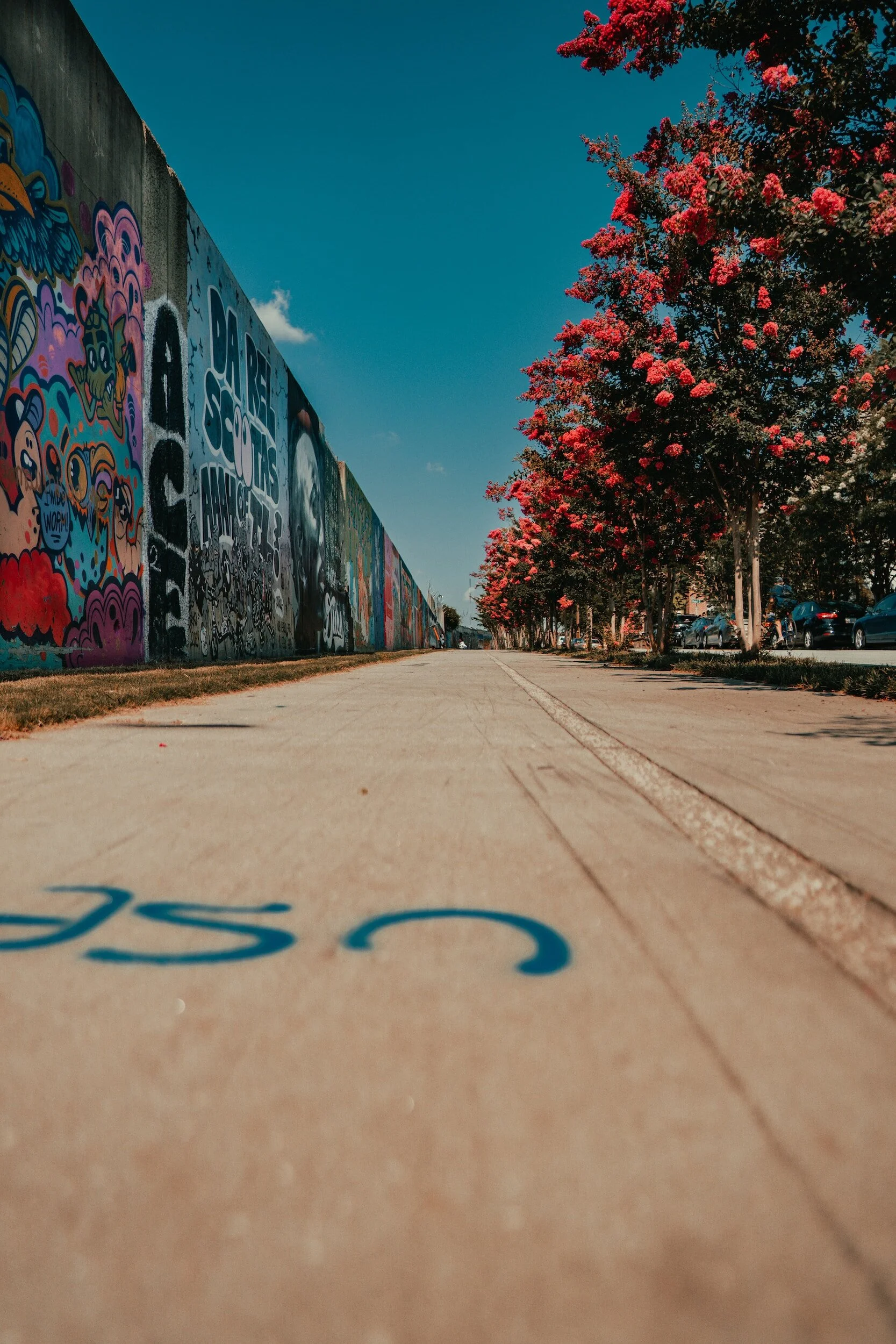 eastside beltline trail path lined with graffiti and trees