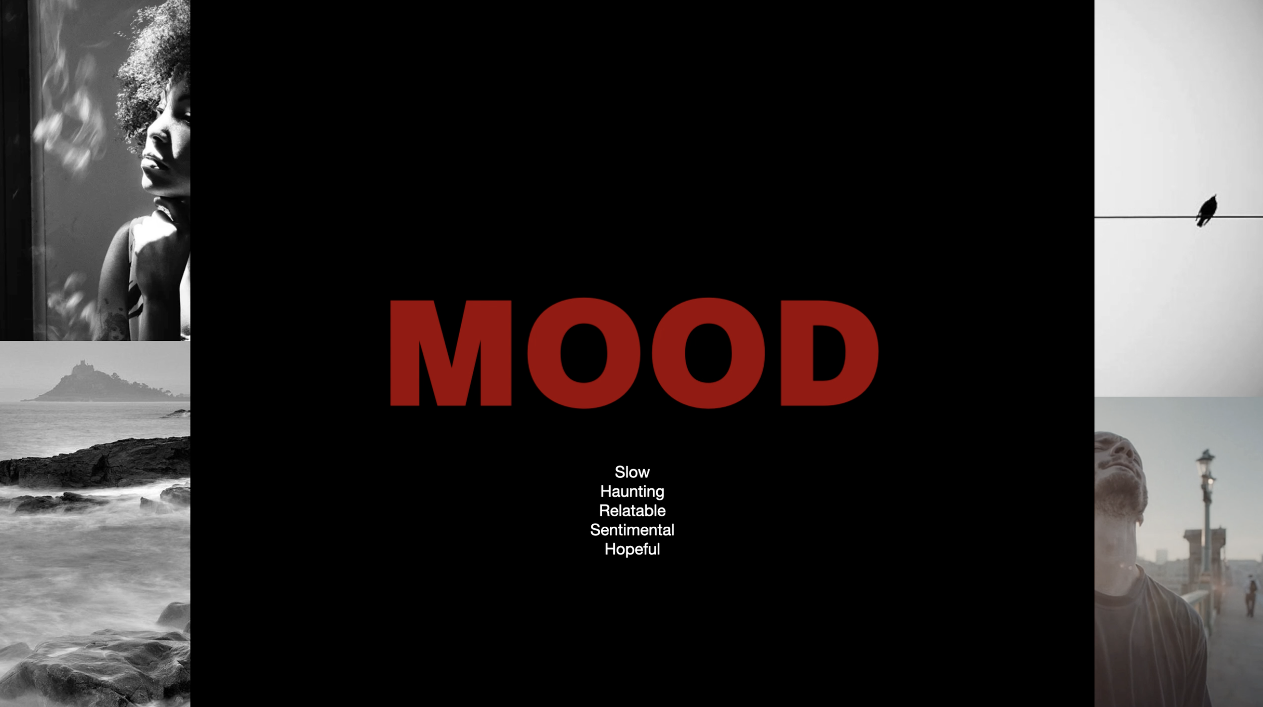 Screen Shot 2023-09-11 at 4.49.37 PM.png