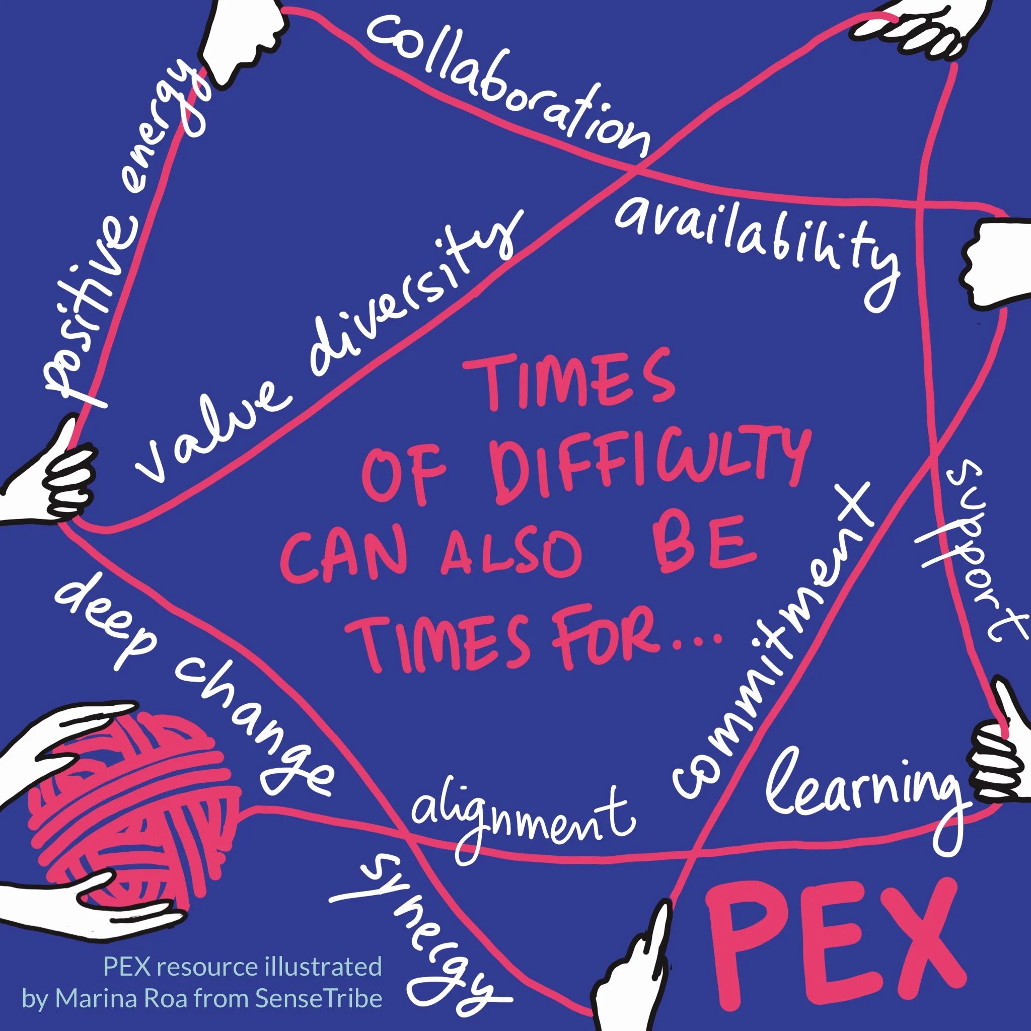 Pex_Bar_5.jpg