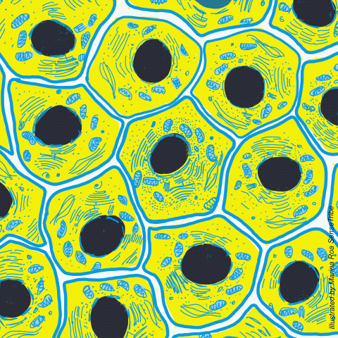DLA_Day_3_Molecular_Level_2022_Animacion 2 WEB.gif