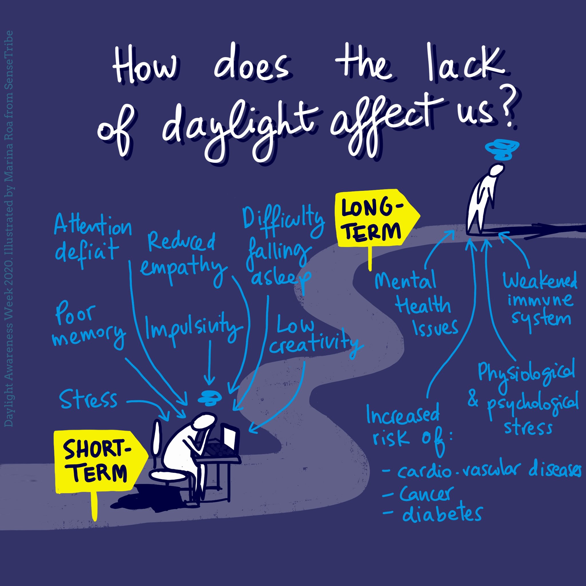 3_Daylight.jpg