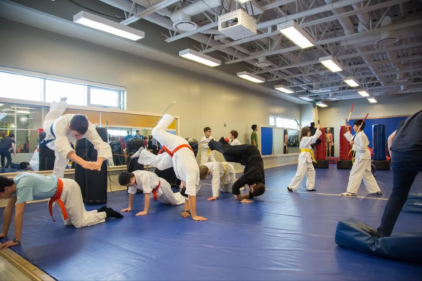 renert-centre-the-hybrid-private-school-karate-room-building-by-elan.jpg