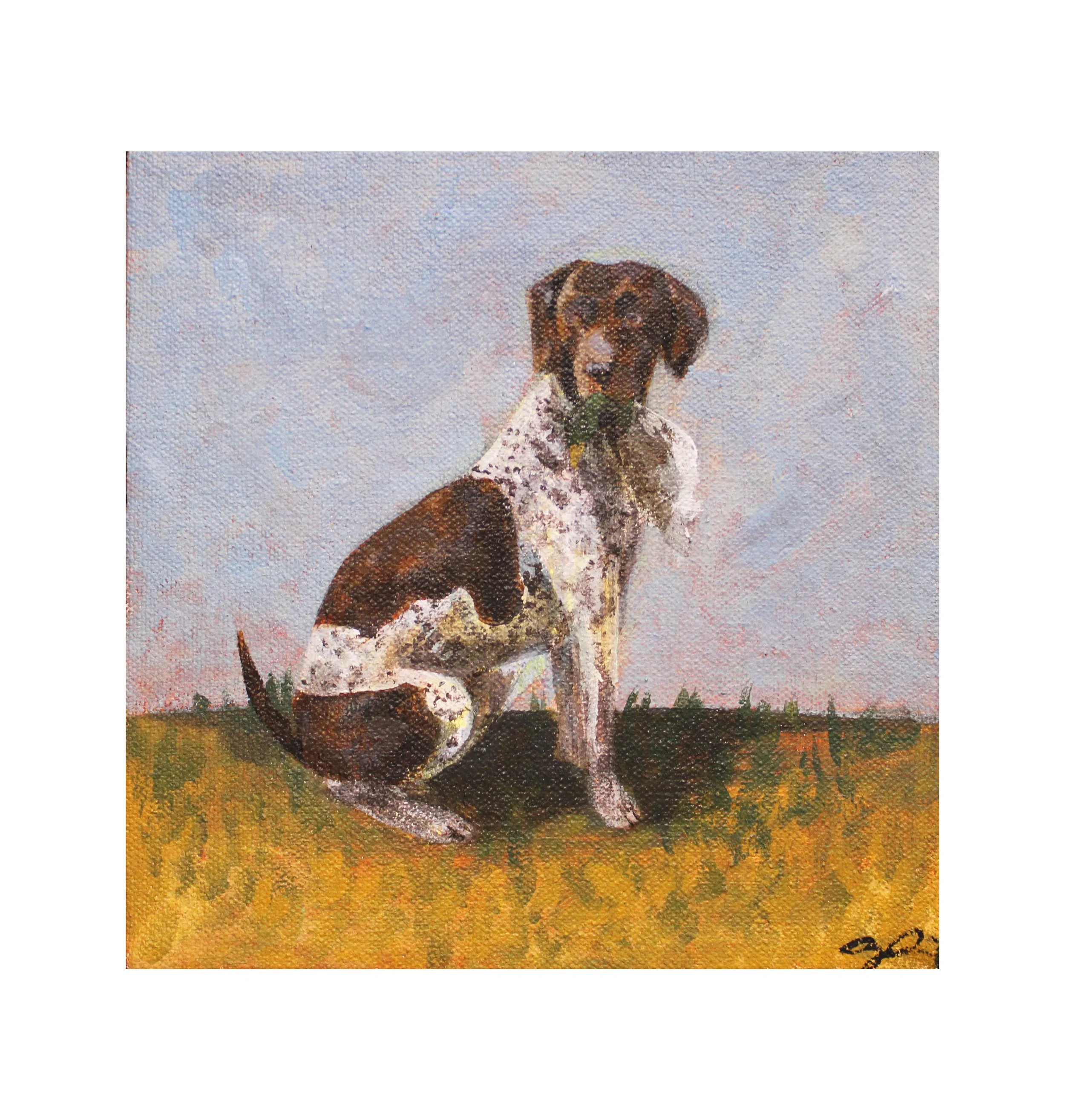 pet portrait.jpg
