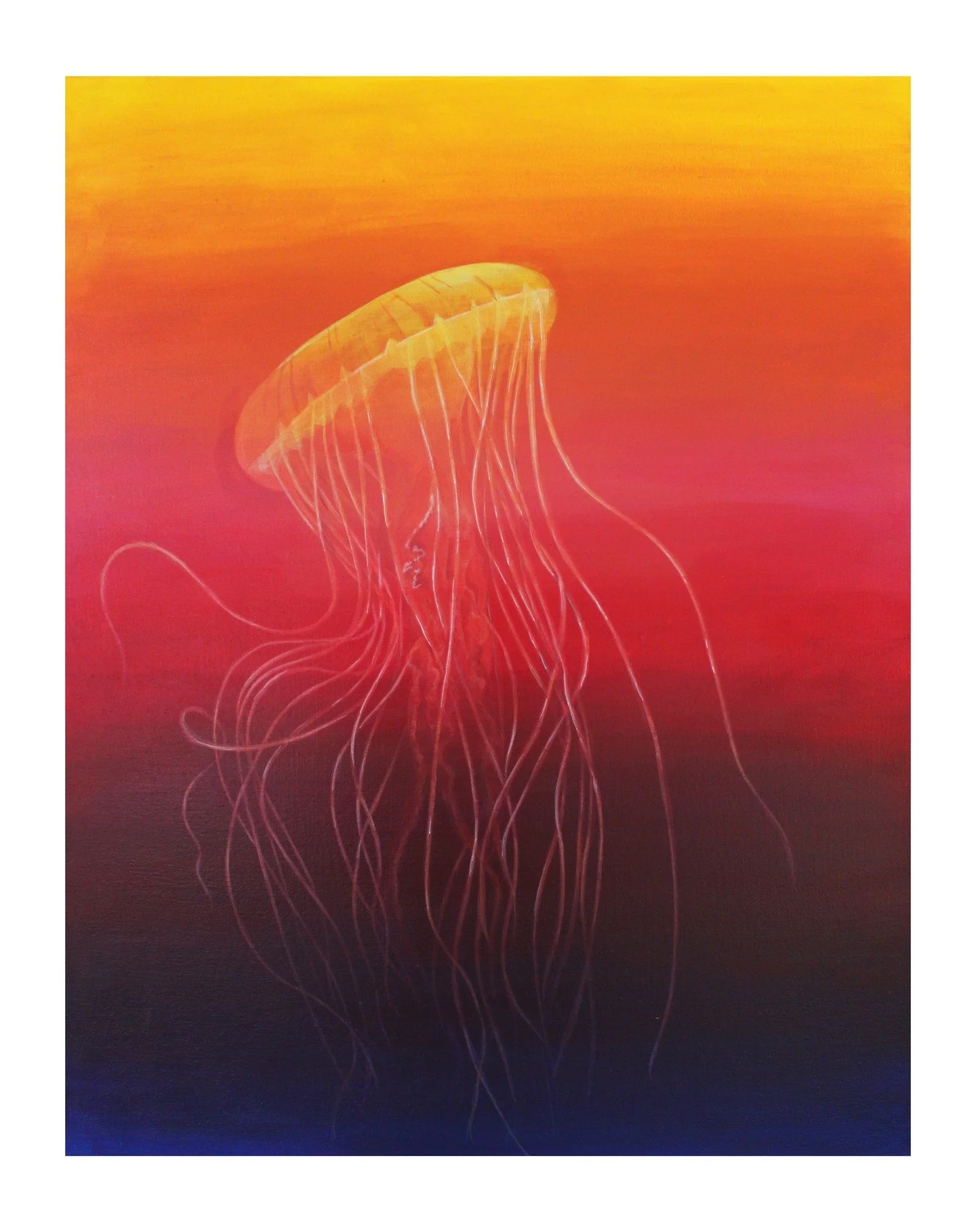 Another jellyfish painting that is on display at Roux and Cyr International Fine Art Gallery 
.
.
.
.
#artwork #artistoninstagram #galleryartist #mainartist #traditionalart #jellyfish #painting #acrylicartist #portlandmaine #oldportmaine #paintersofi