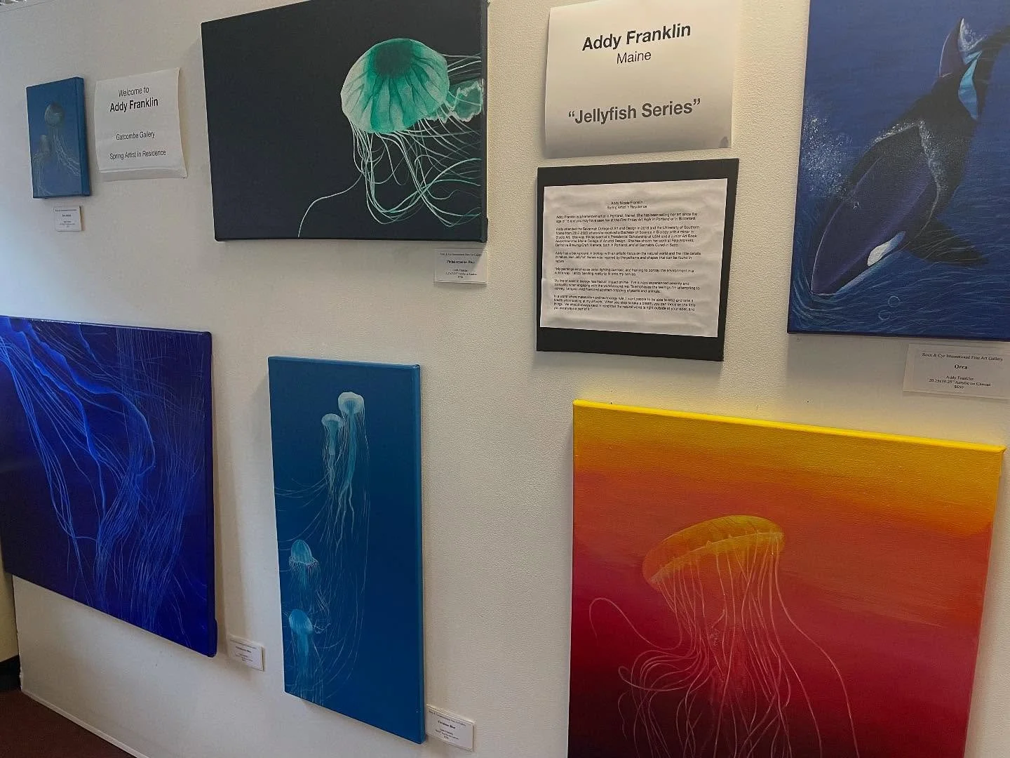 If your in Portland, stop into Roux and Cyr on Free Street to see my Jellyfish paintings on display!