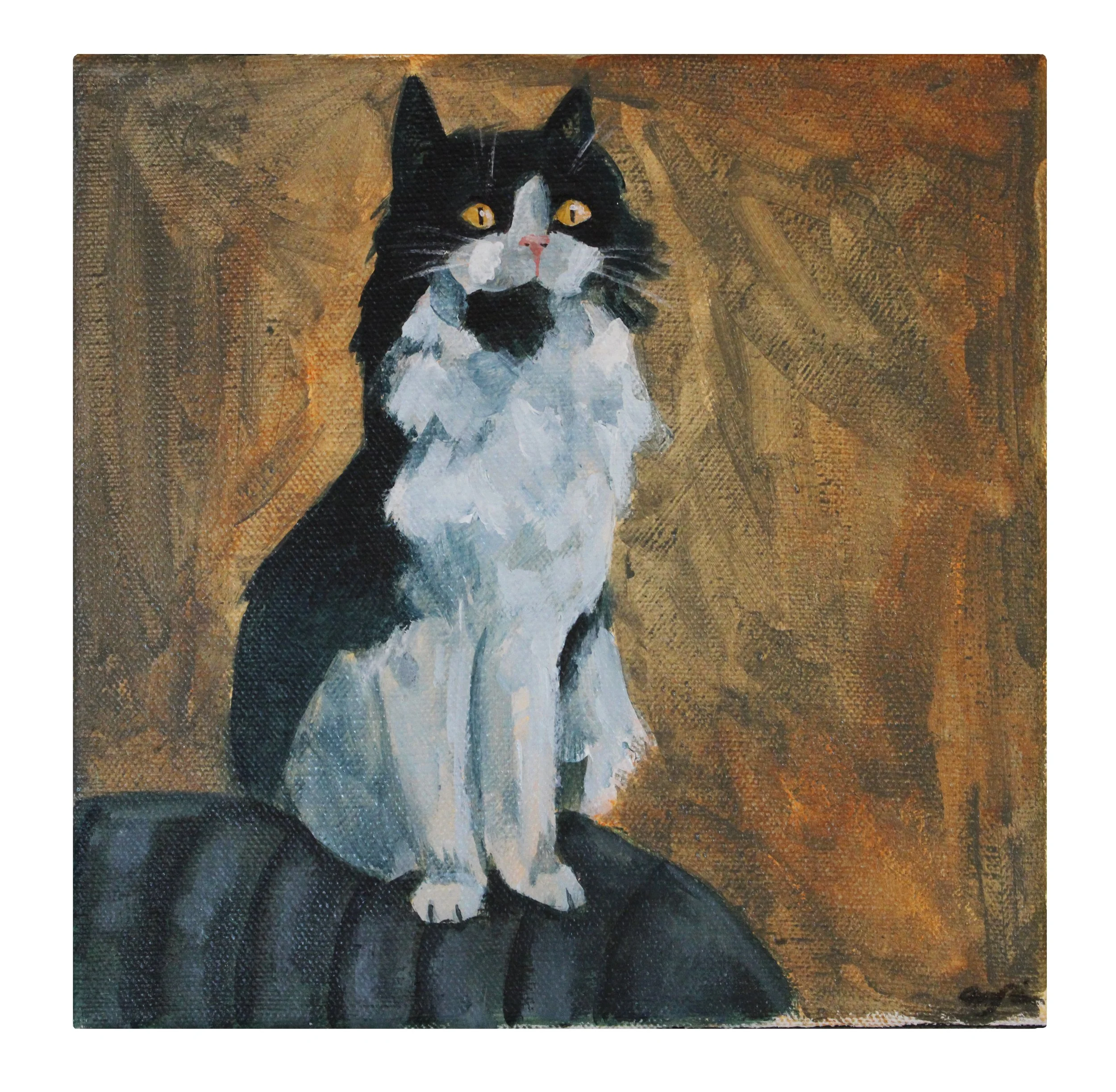 pet portrait.3.jpg