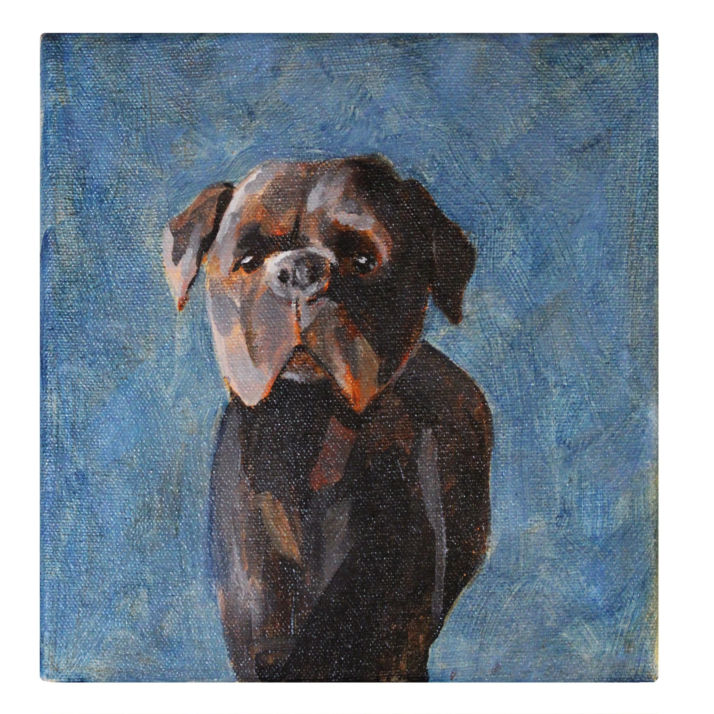 pet portrait.2.jpg