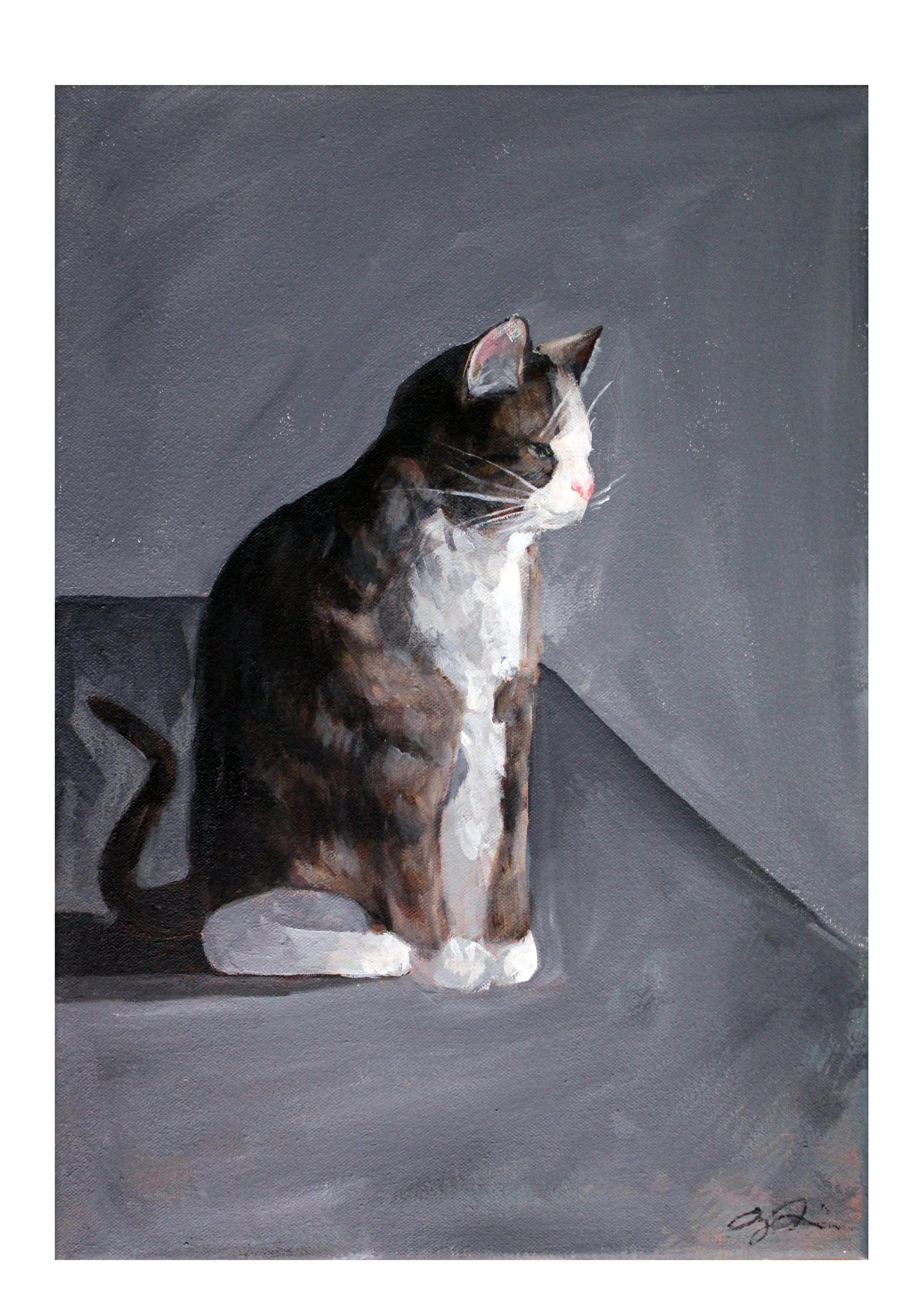 pet portrait 2.jpg