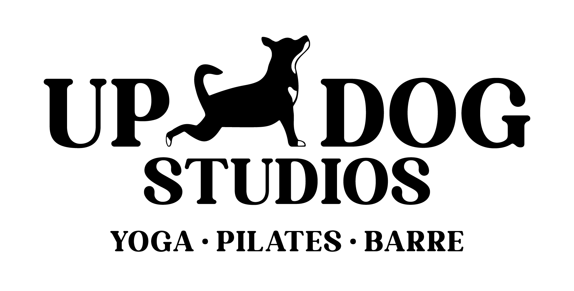 UpDog Pilates — Hybrid gym in New York, NJ