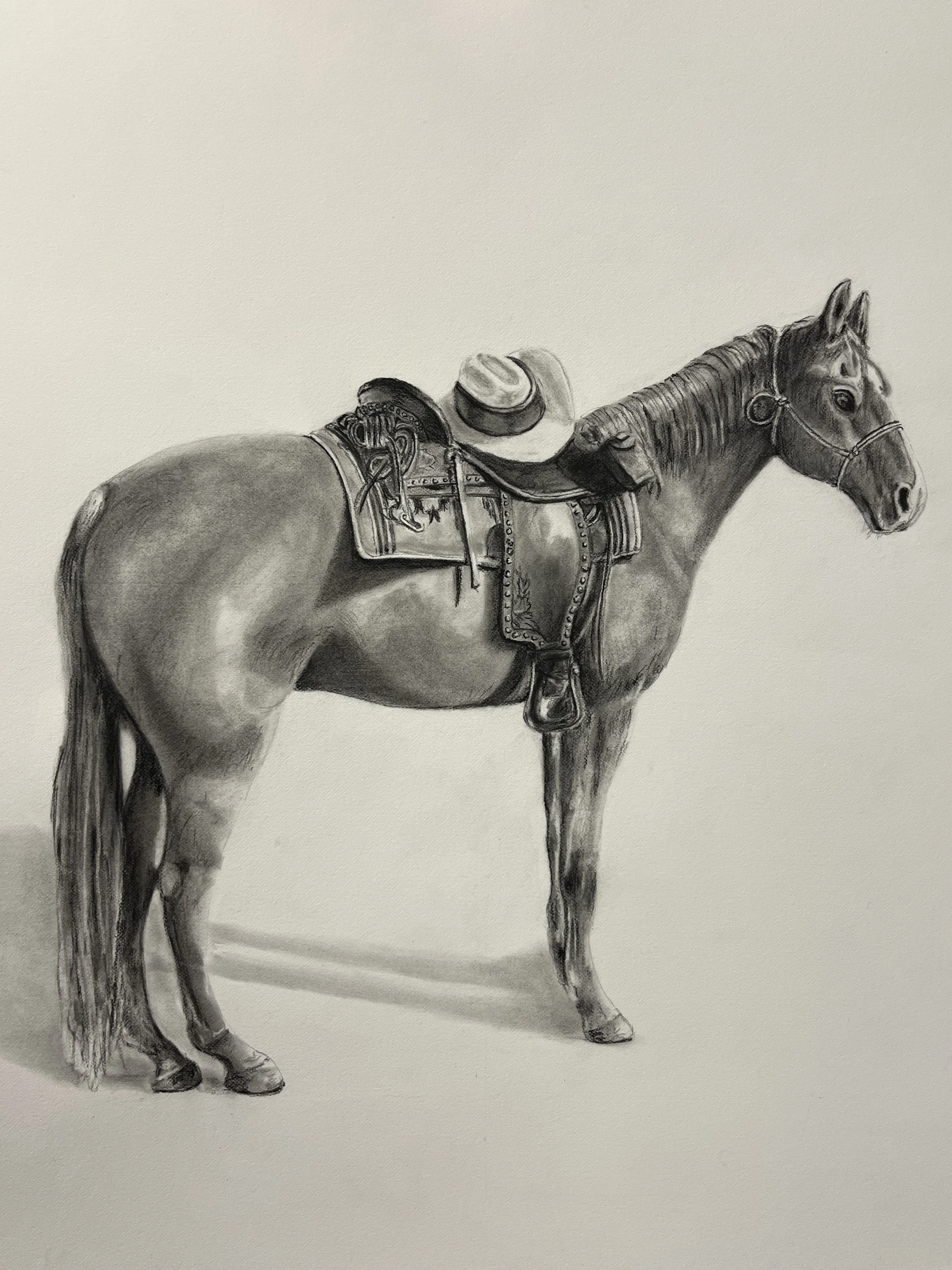 Horse.jpeg