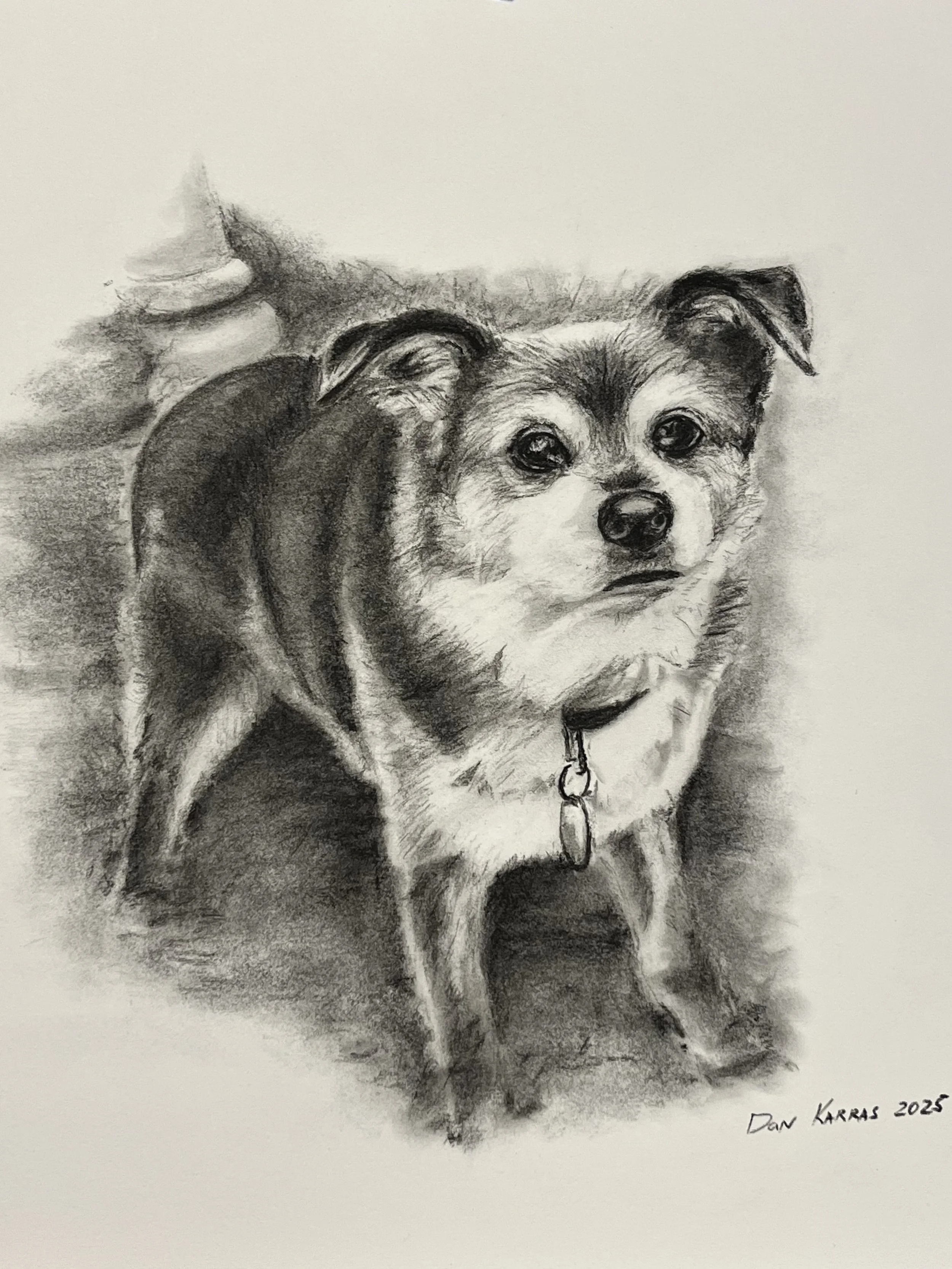 kerry dog.jpeg