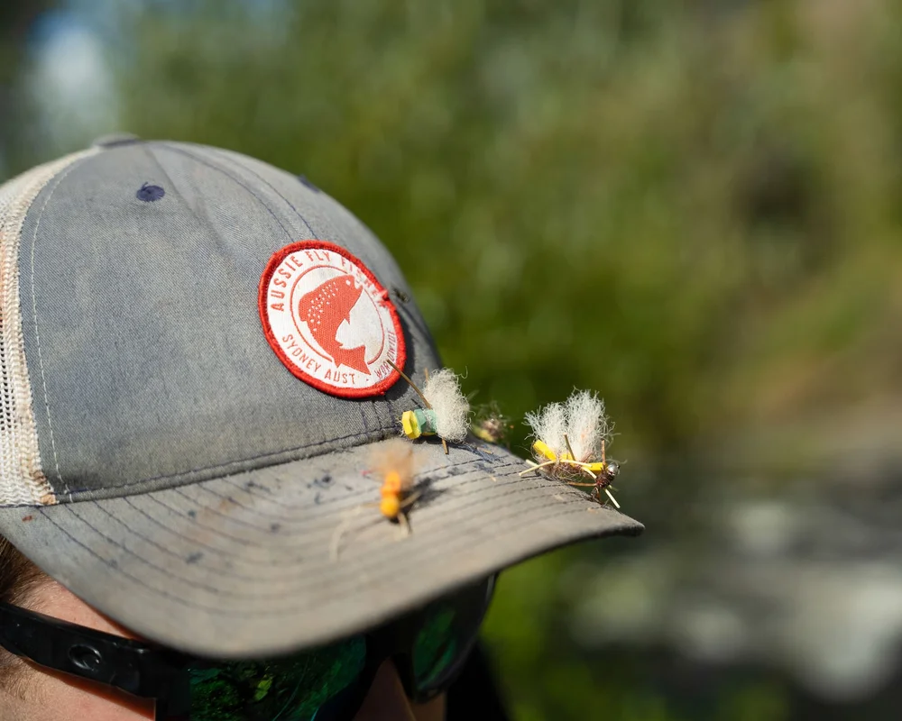 How to fish — Tale Out. Australian and New Zealand fly