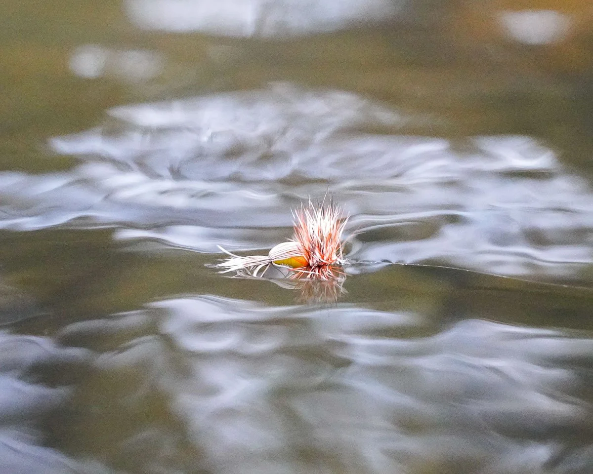 Yellow Humpy fly drifting naturally