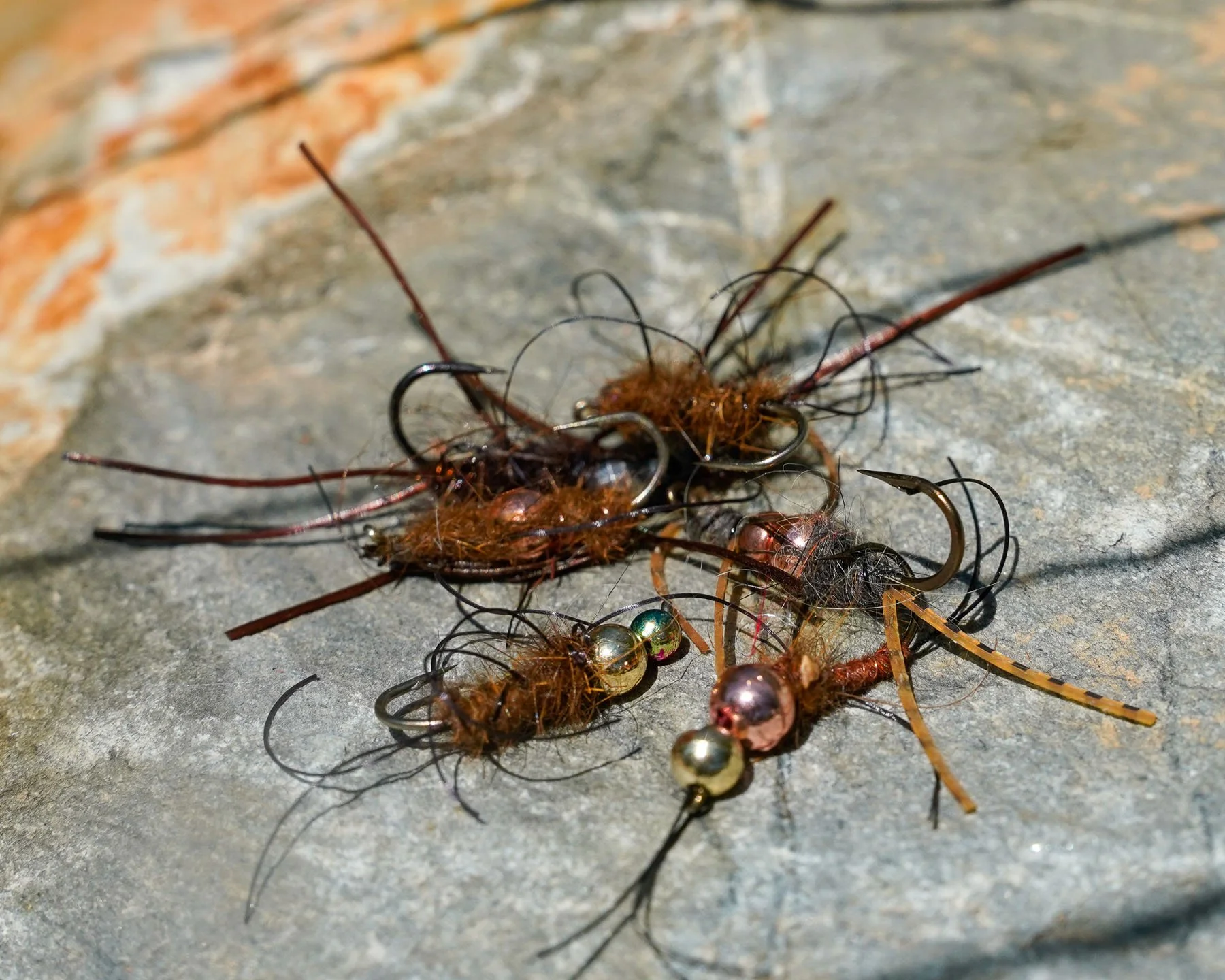 Simon's Uglies stonefly
