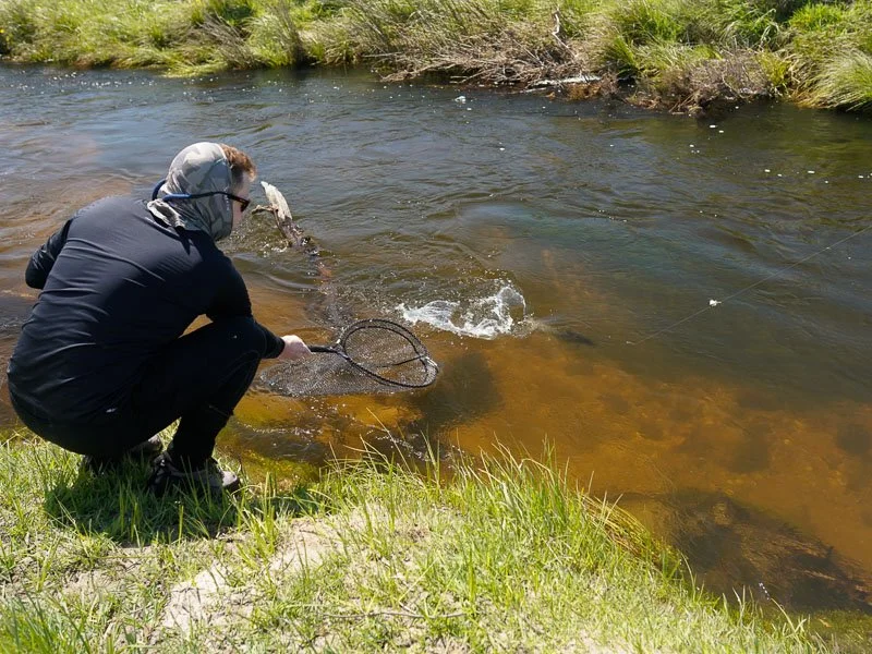Jindabyne, Fly Fishing, Brown Trout