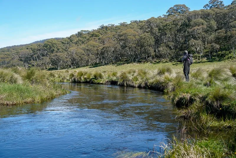 Jindabyne, Fly Fishing, Brown Trout
