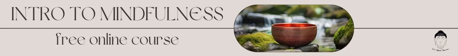 introduction to mindfulness course