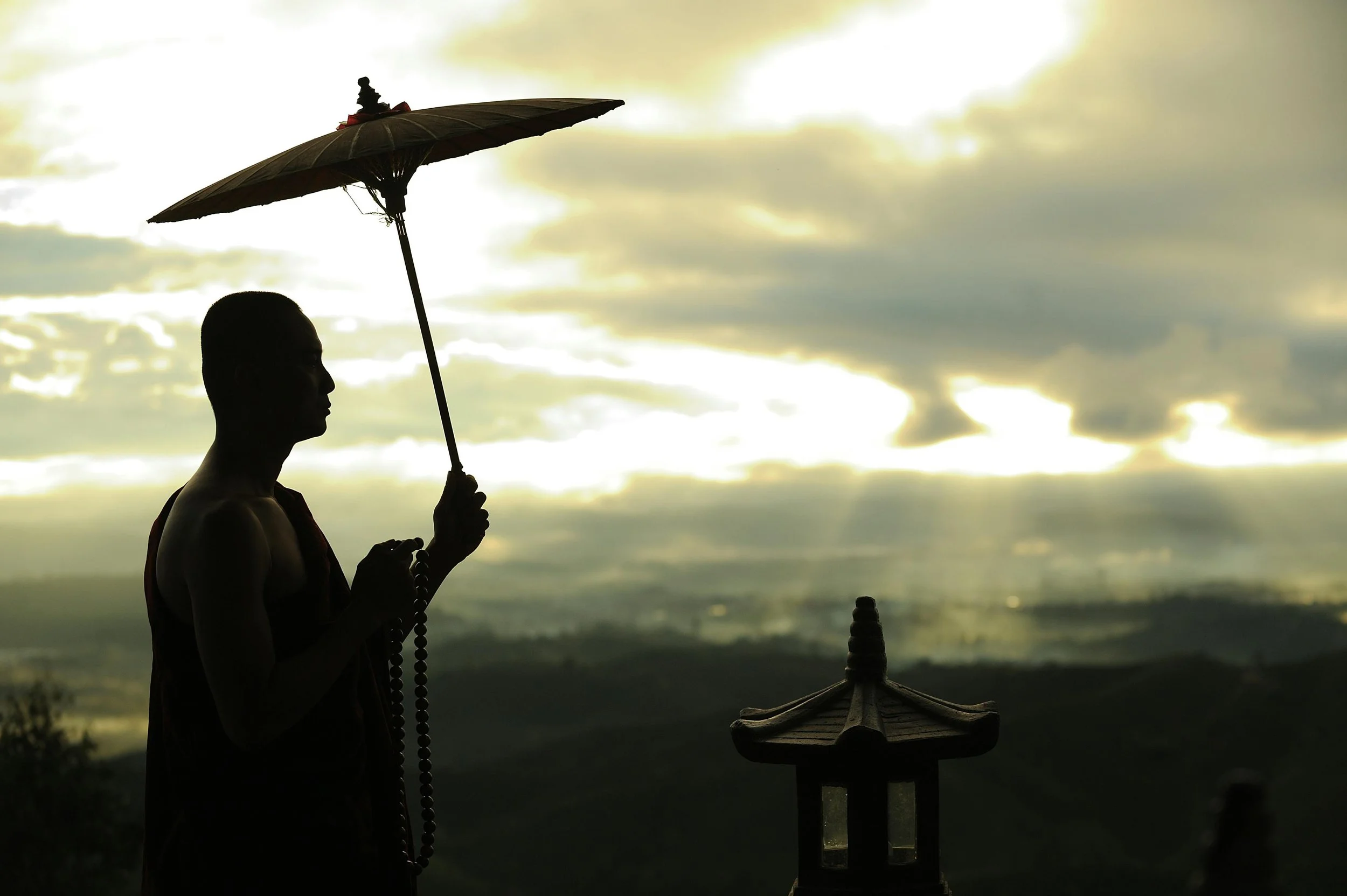 Wise Effort: Practice and Understanding
