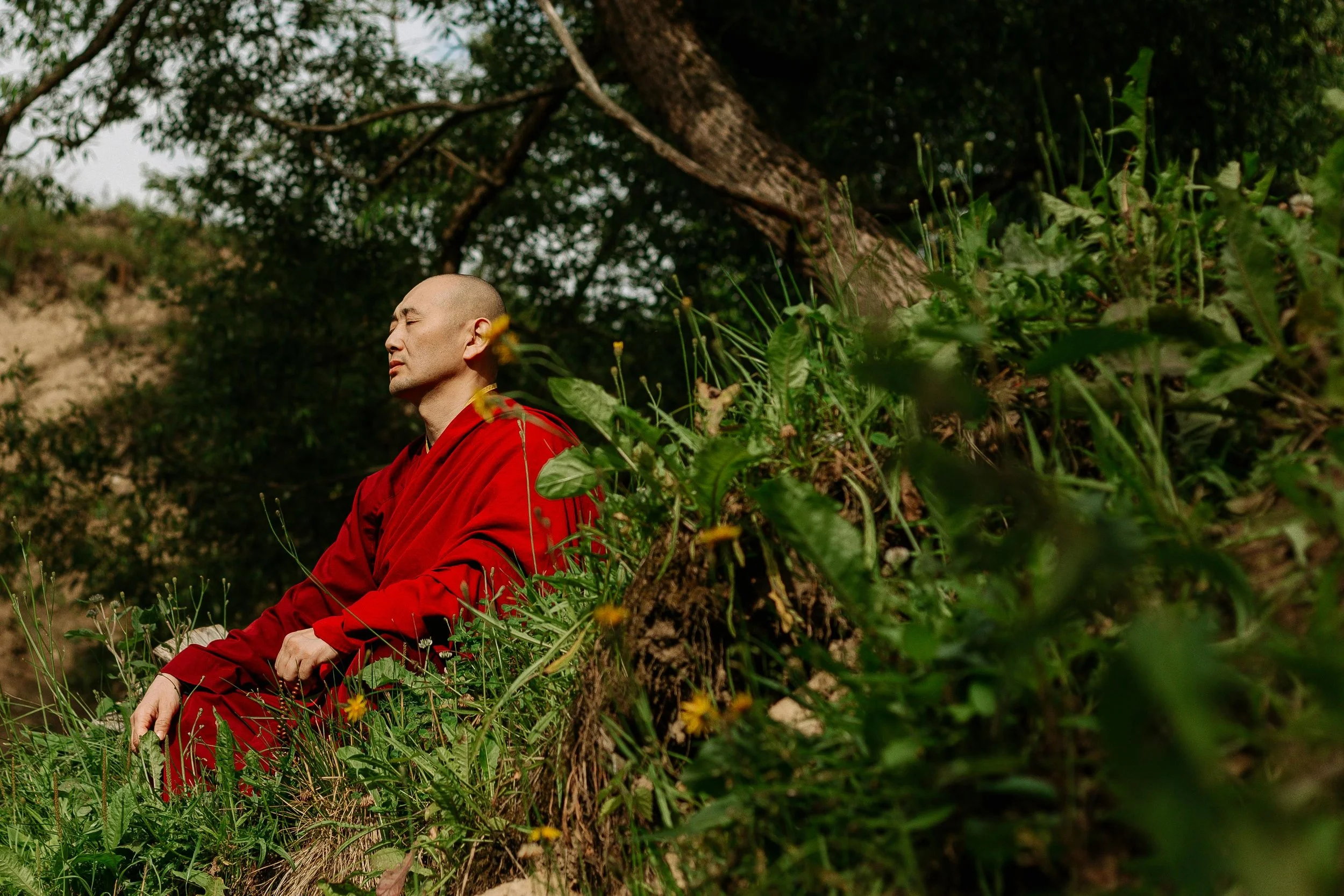 Concentration Meditation: Techniques, Common Difficulties, and Tips for Practice