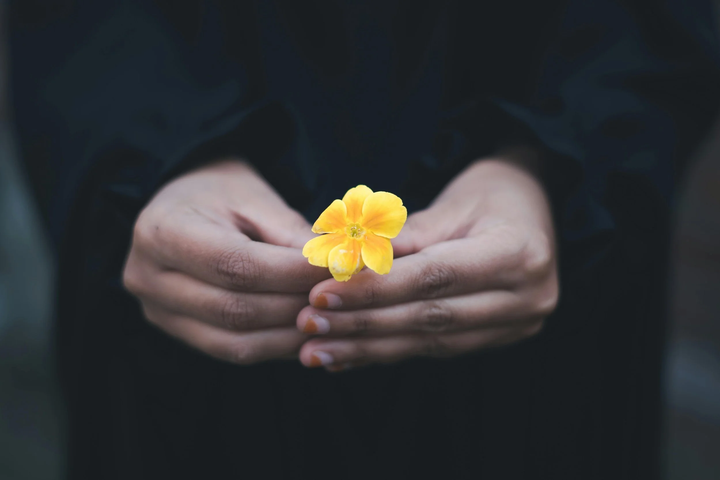 How to Forgive Yourself: A Practical Guide to Mindful Self-Forgiveness