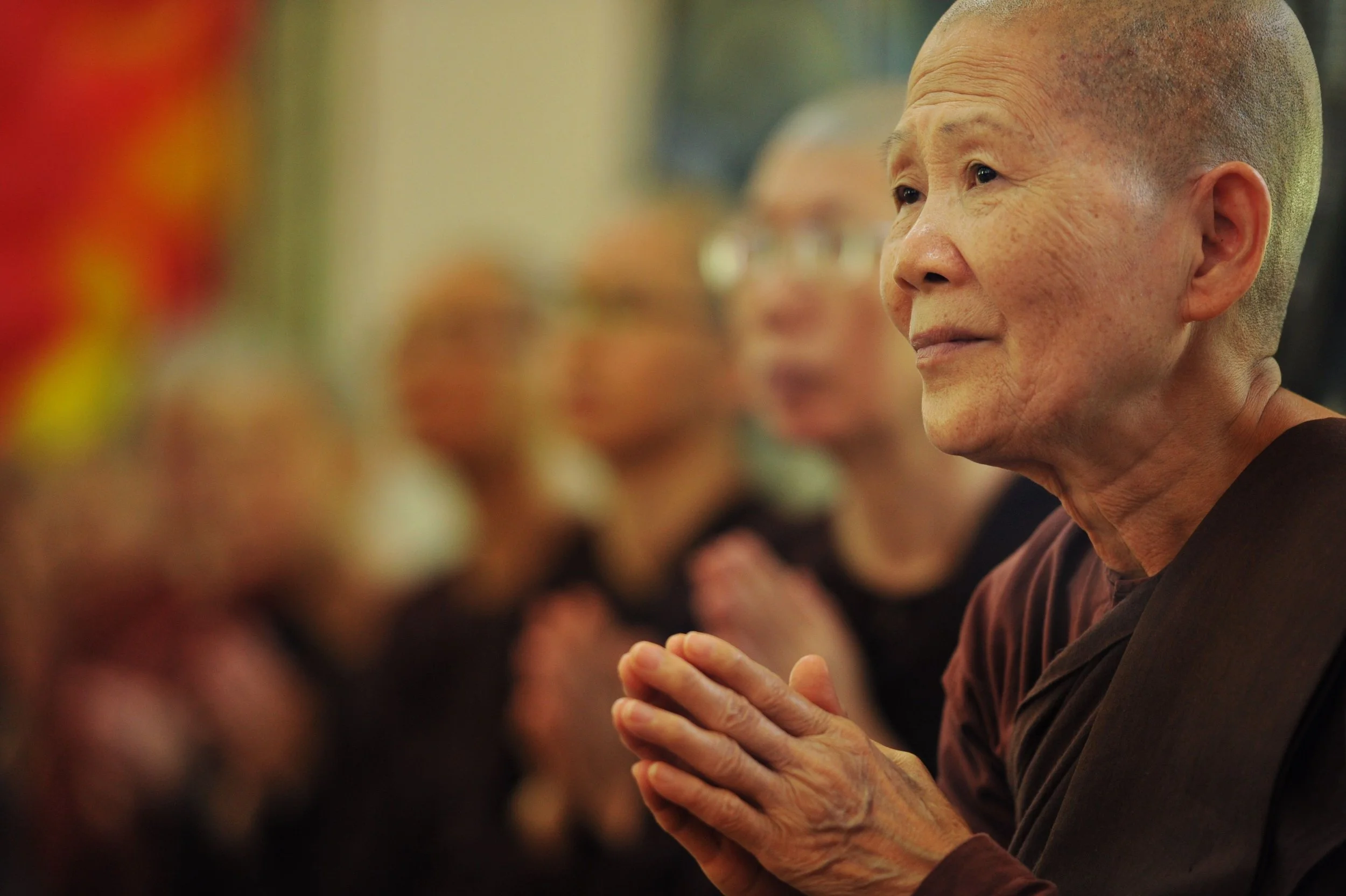 sangha in buddhism