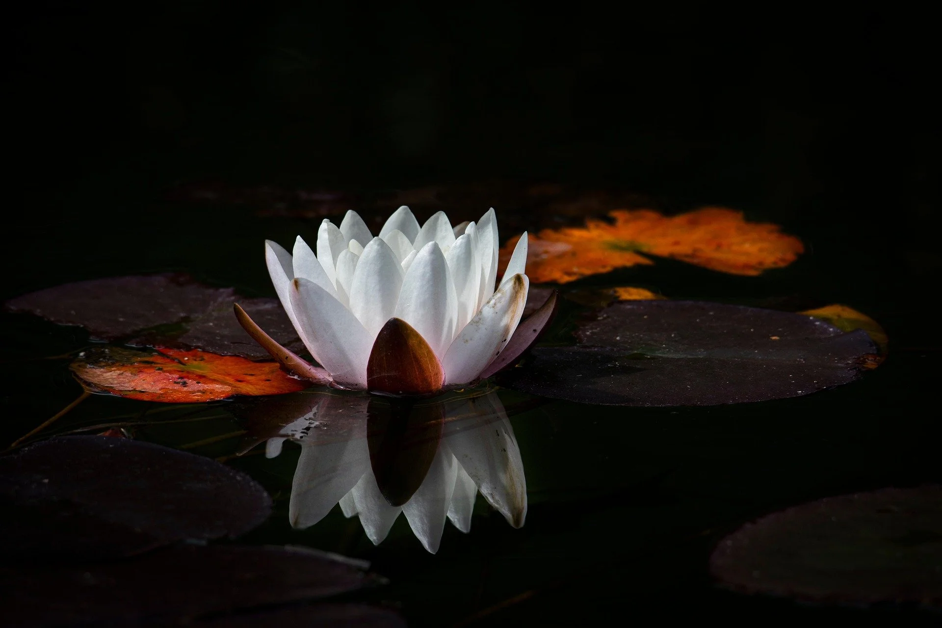 What is Open Awareness Meditation? A Simple Guide to Practicing