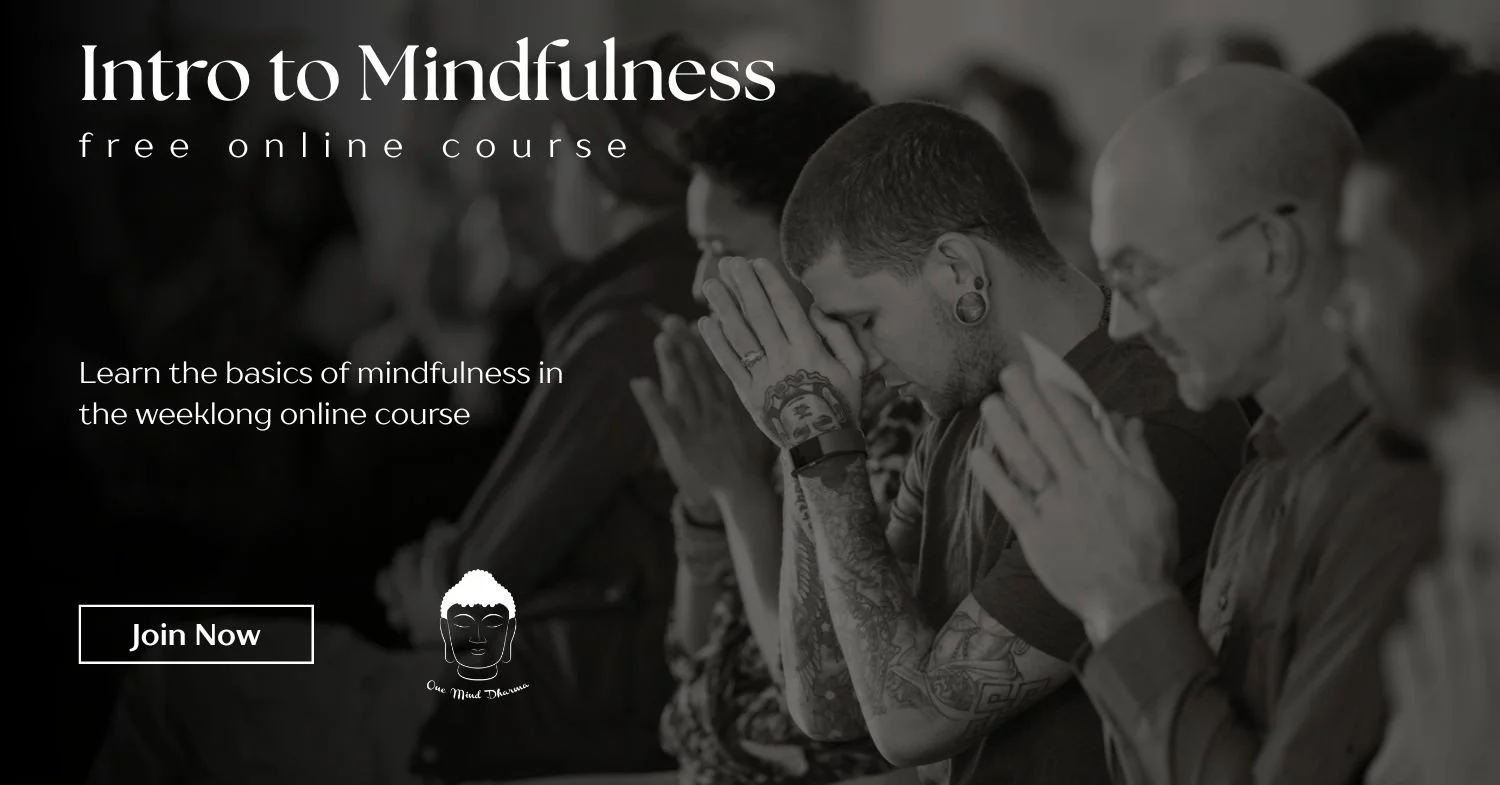 intro to mindfulness course
