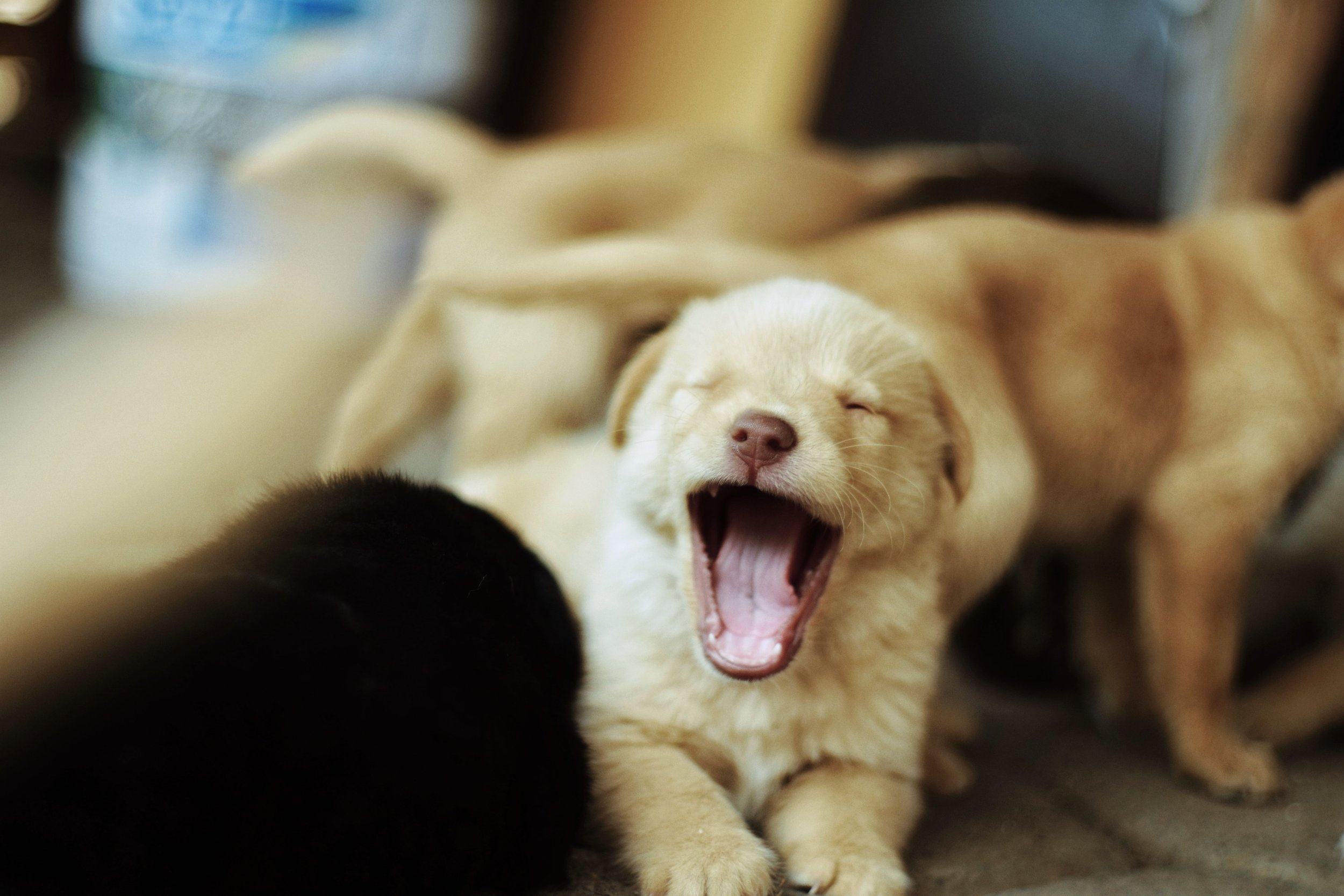 sleepiness in meditation