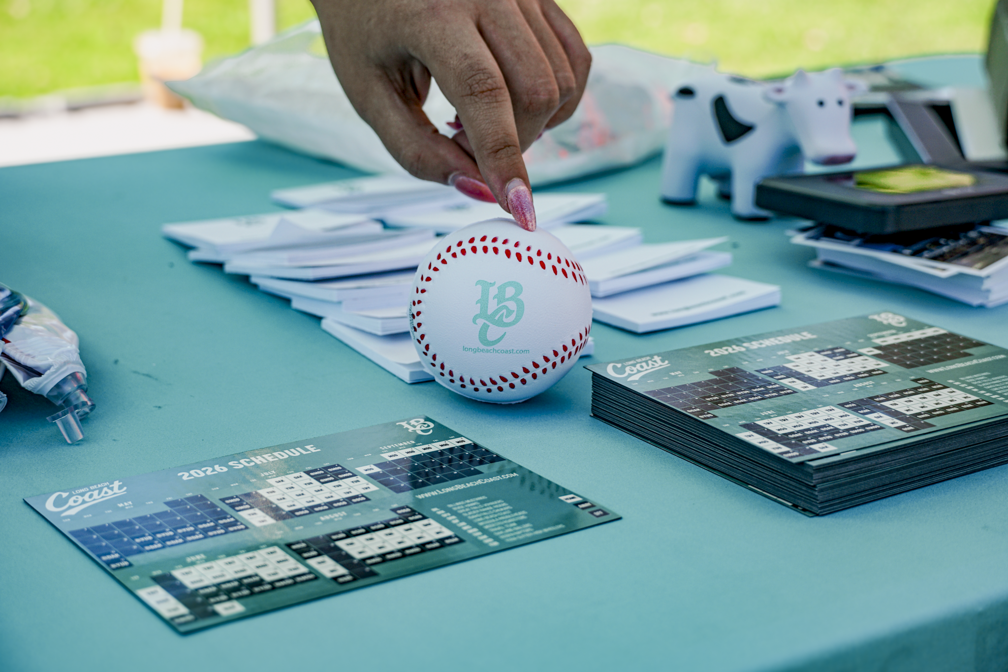 Long Beach Coast x Rockview Farms - Little League Opening Day - March 2026