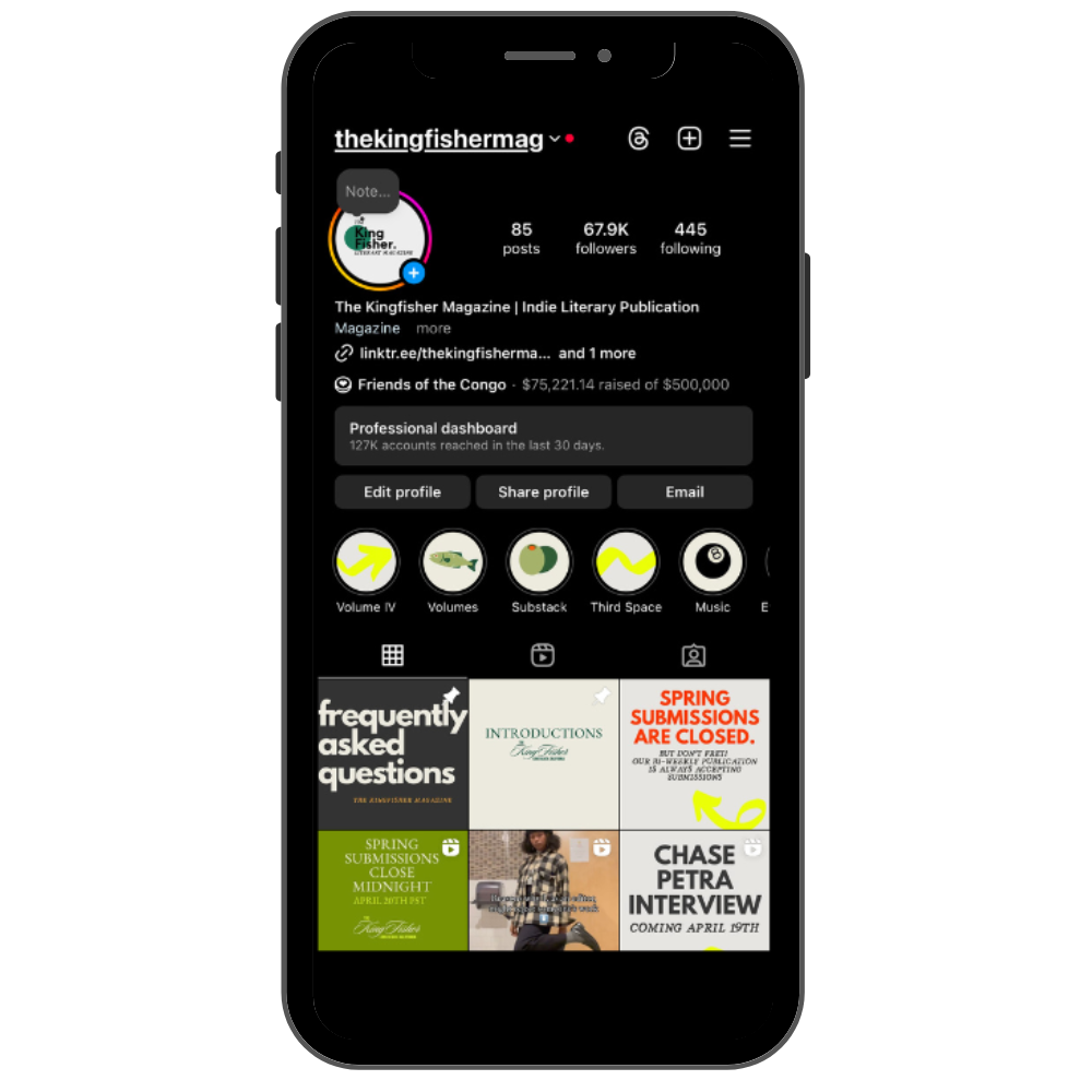 e.g The Kingfisher Magazine Instagram ( 0 to 65k+ followers)