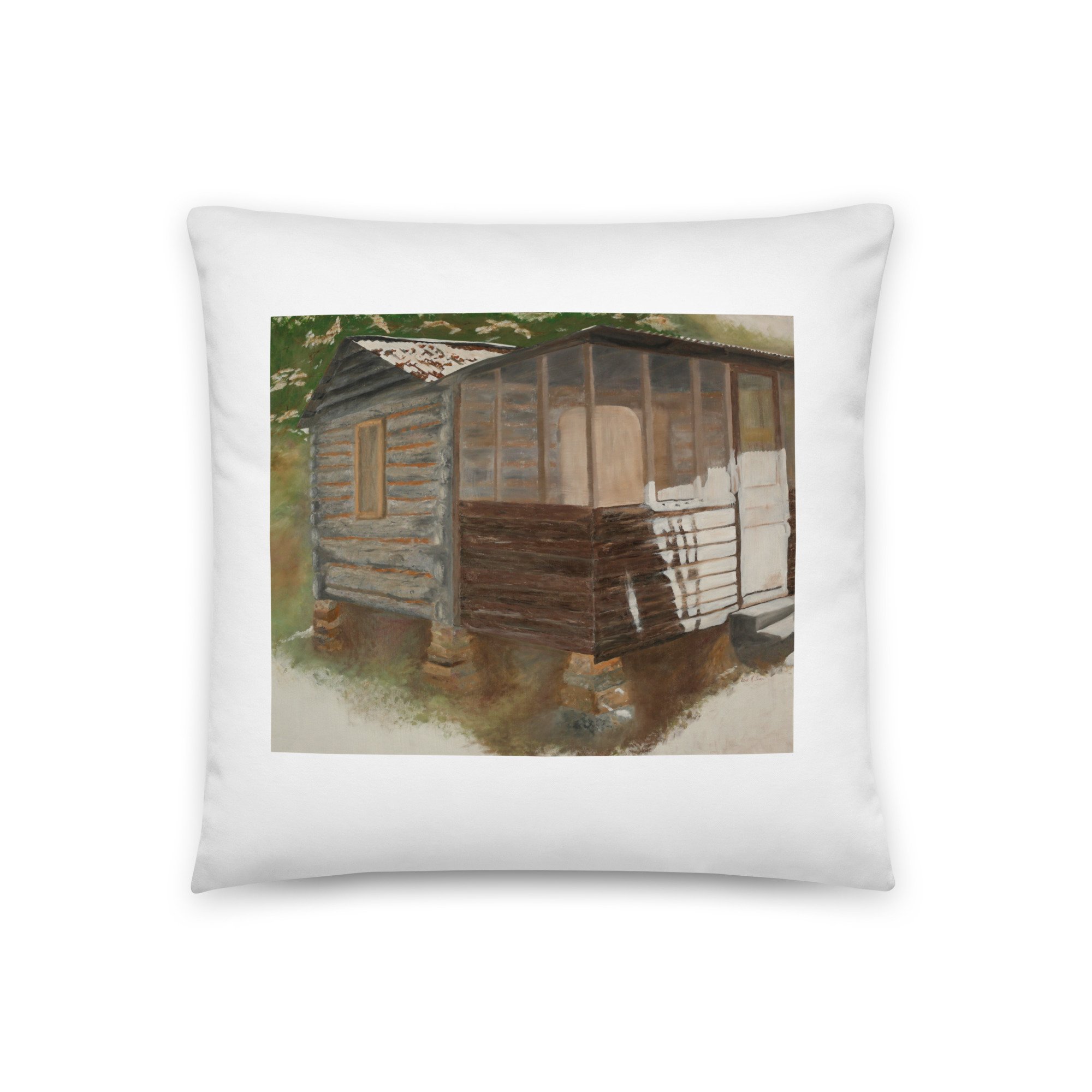 all-over-print-basic-pillow-18x18-front-647bbf1fe880d.jpg