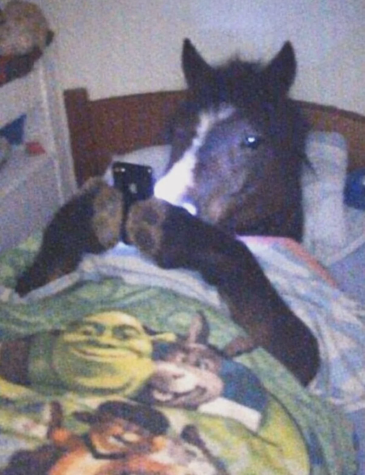 Class went really well actually.