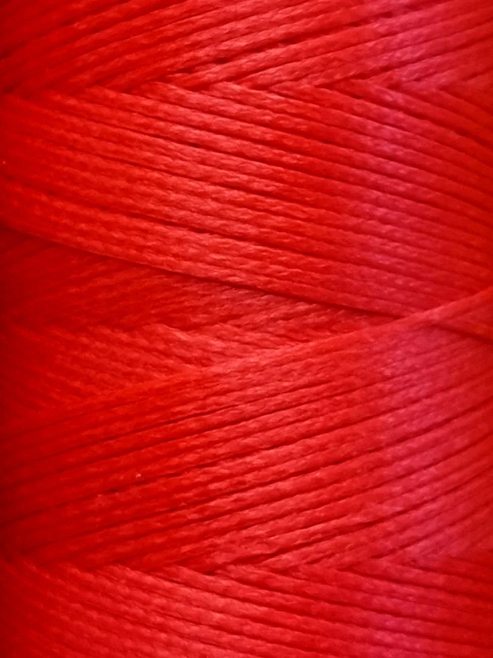 20260422_134503.jpg