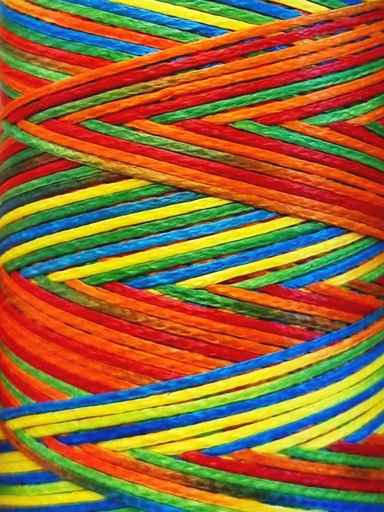 20260422_135108.jpg