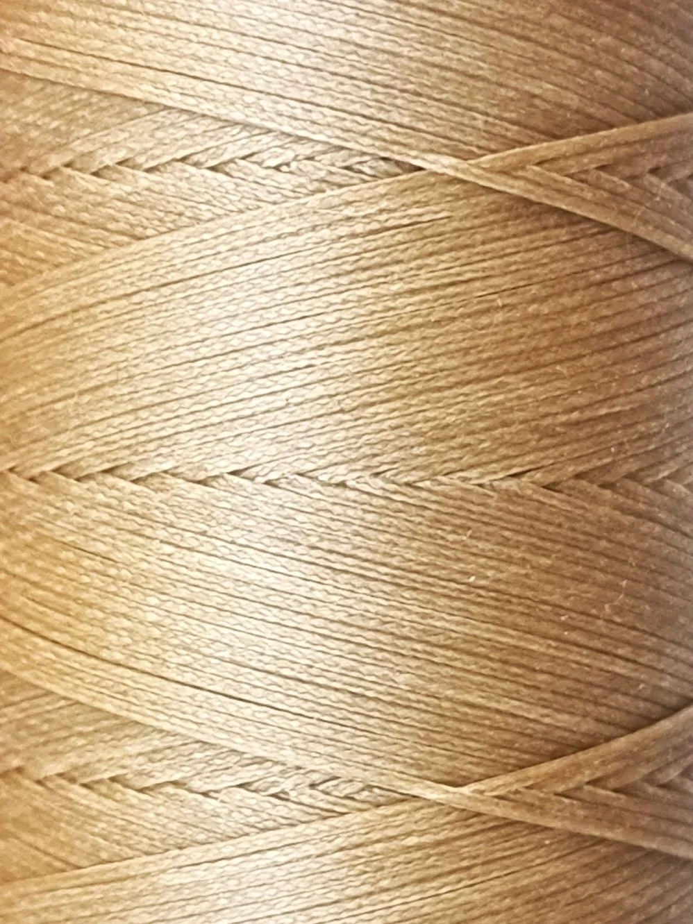20260422_135348.jpg