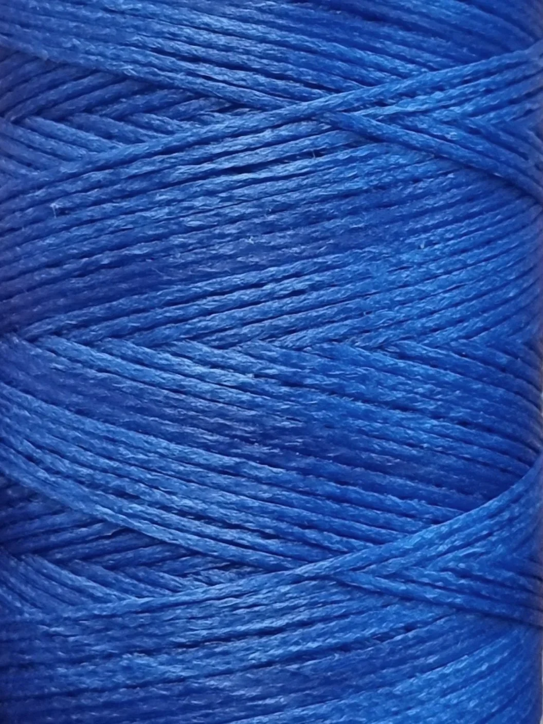 20260422_135004.jpg