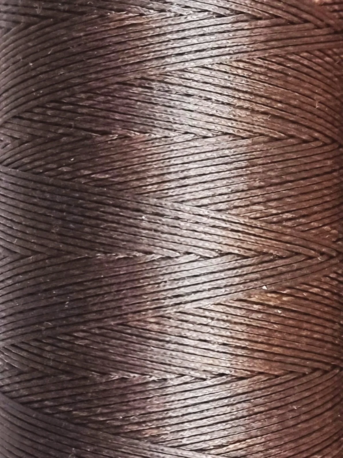 20260422_135336.jpg