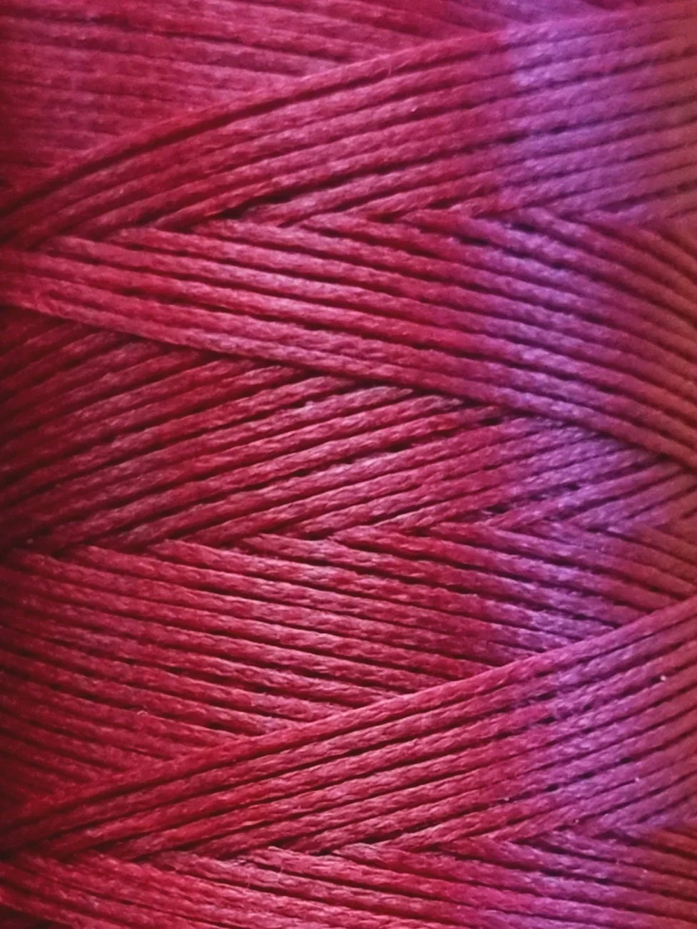 20260422_134745.jpg