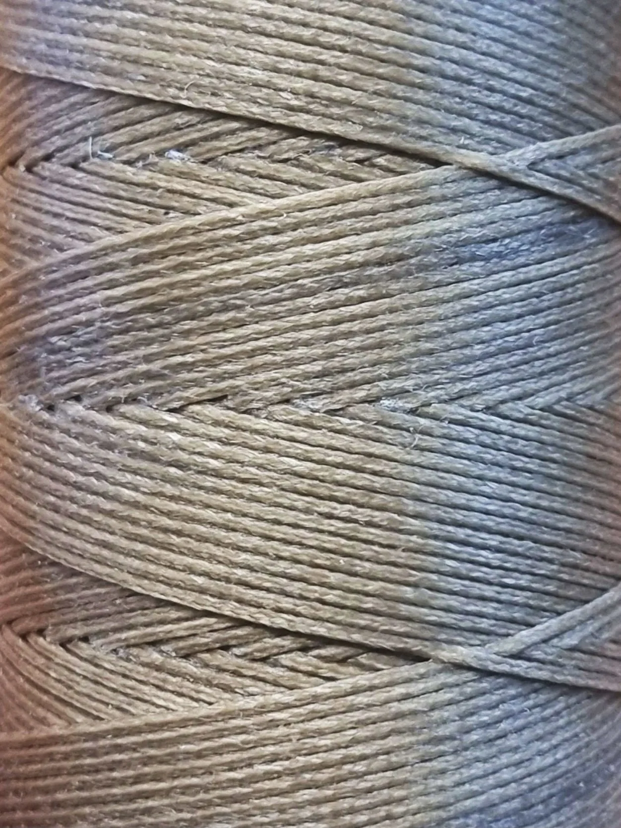 20260422_135120.jpg