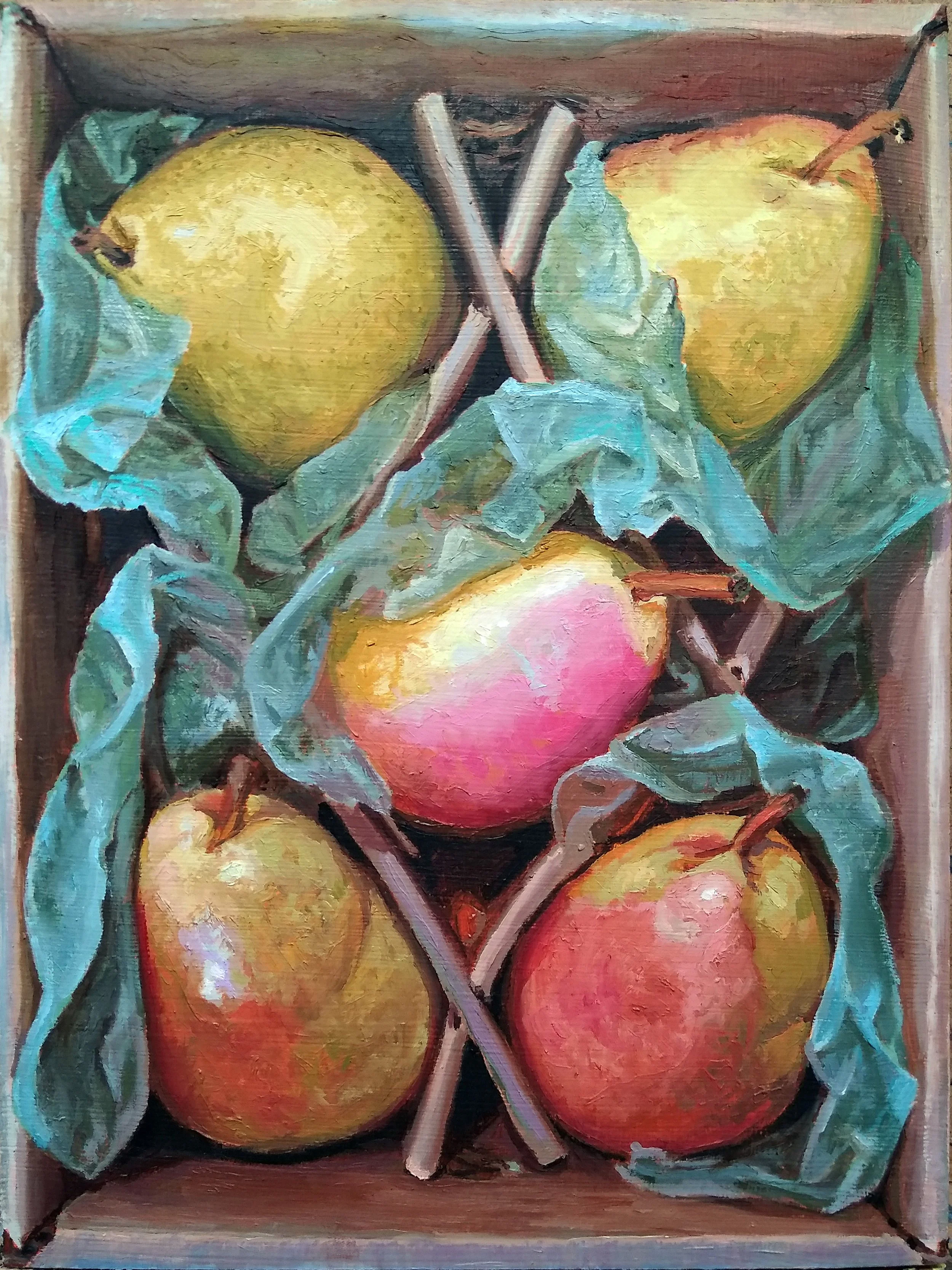 Available, five pears with green tissue in cardboard box, trompe l'oeil, still life oil painting, 9x12 in., Tim Weedlun, San Diego