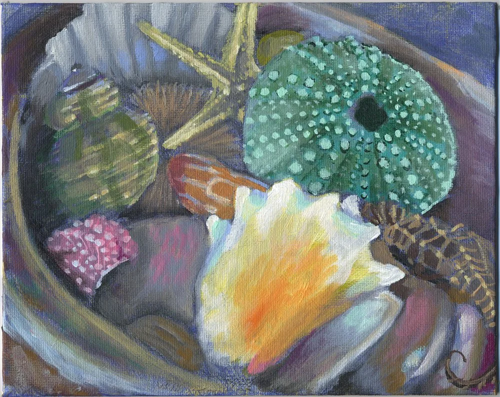 Jewels of the Sea