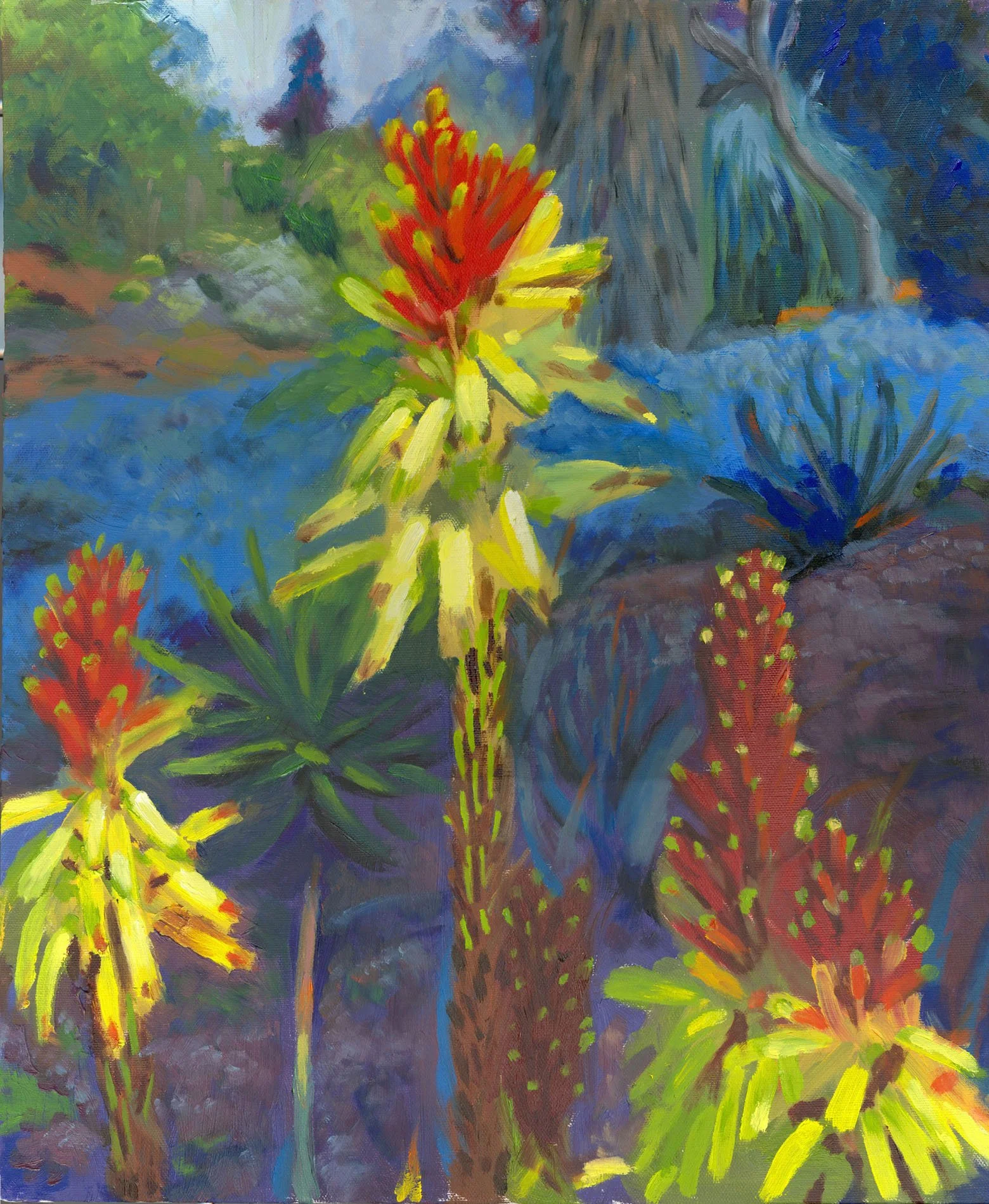 Torch Lilies
