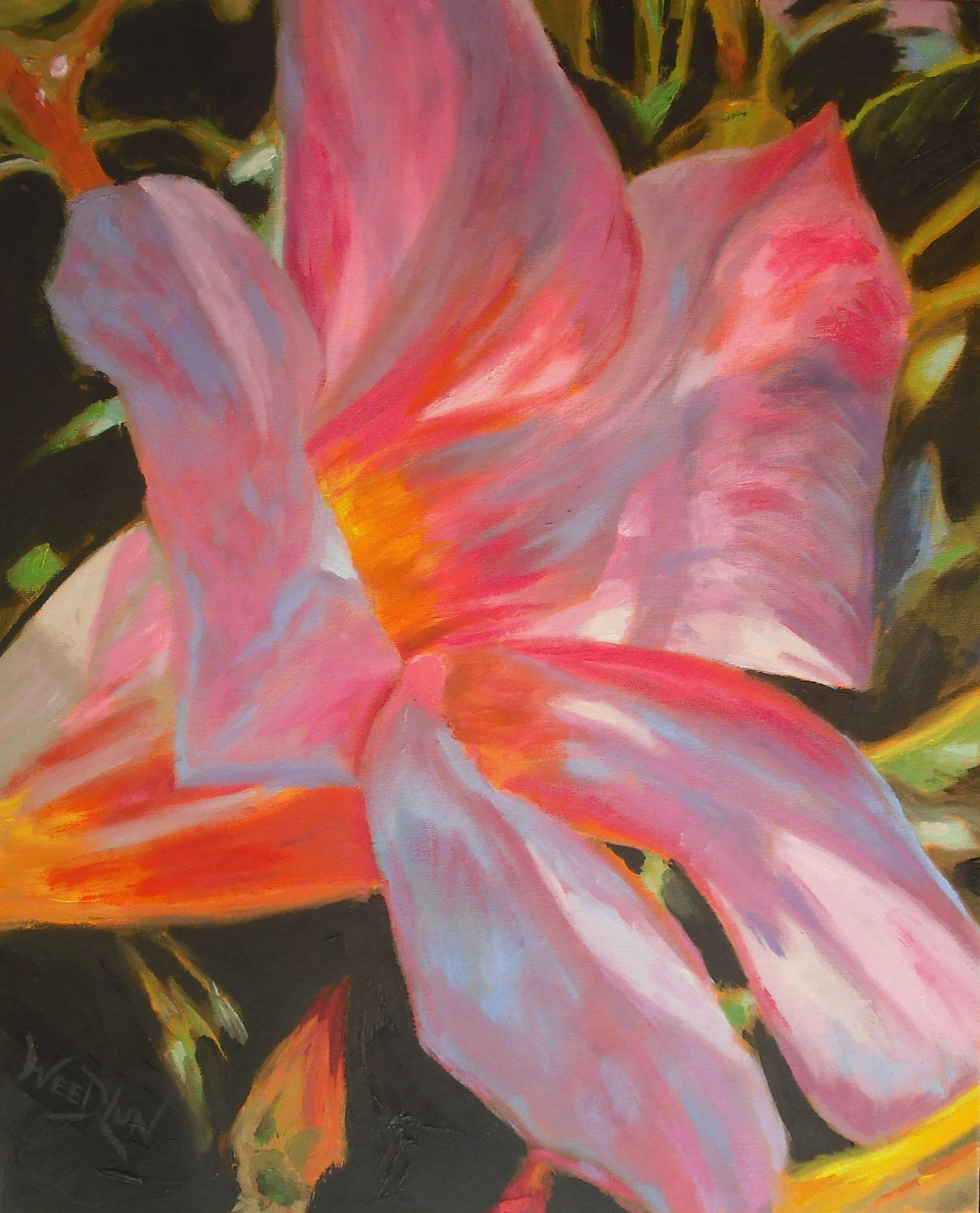 Mandevilla