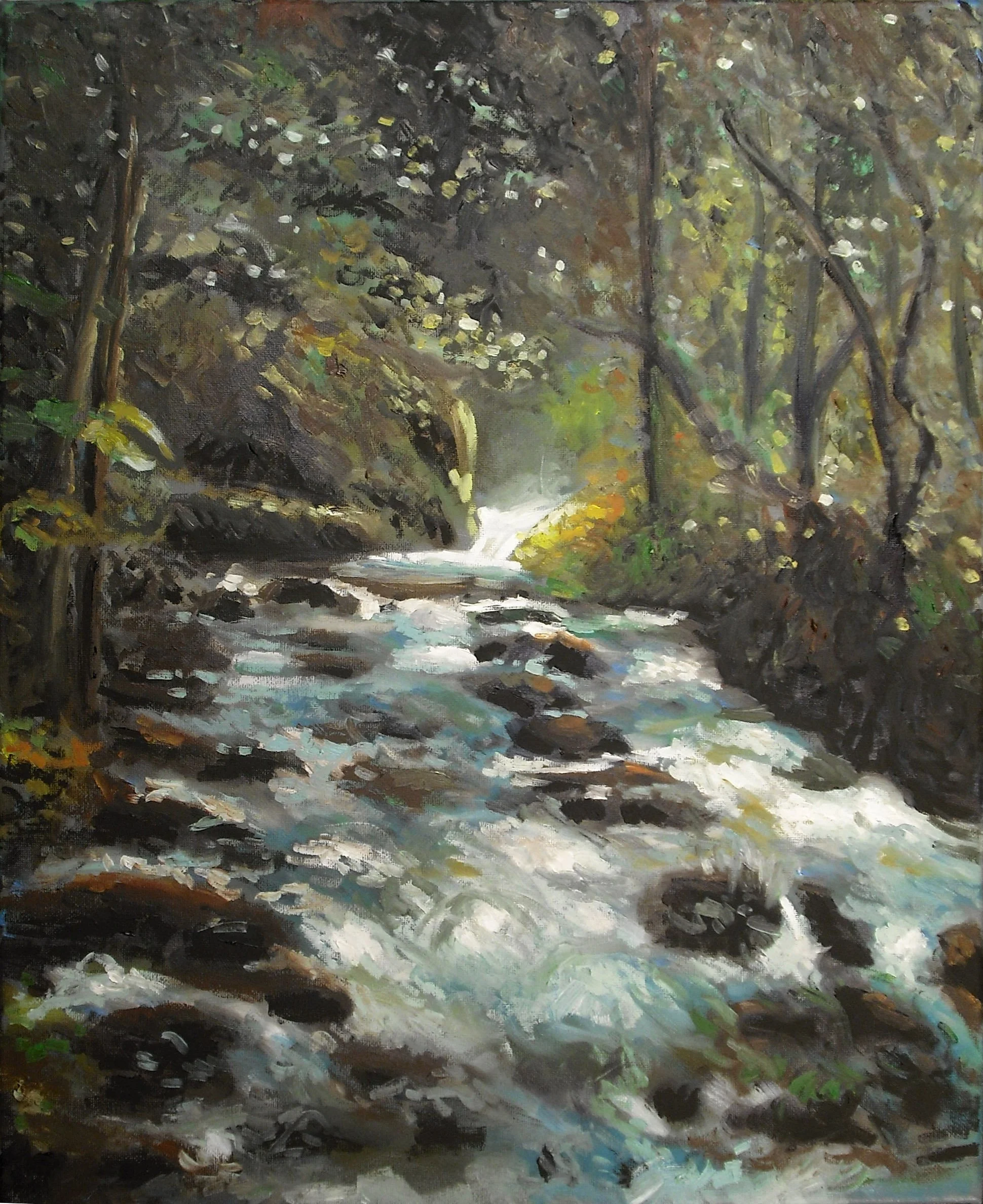 Stream Rapids
