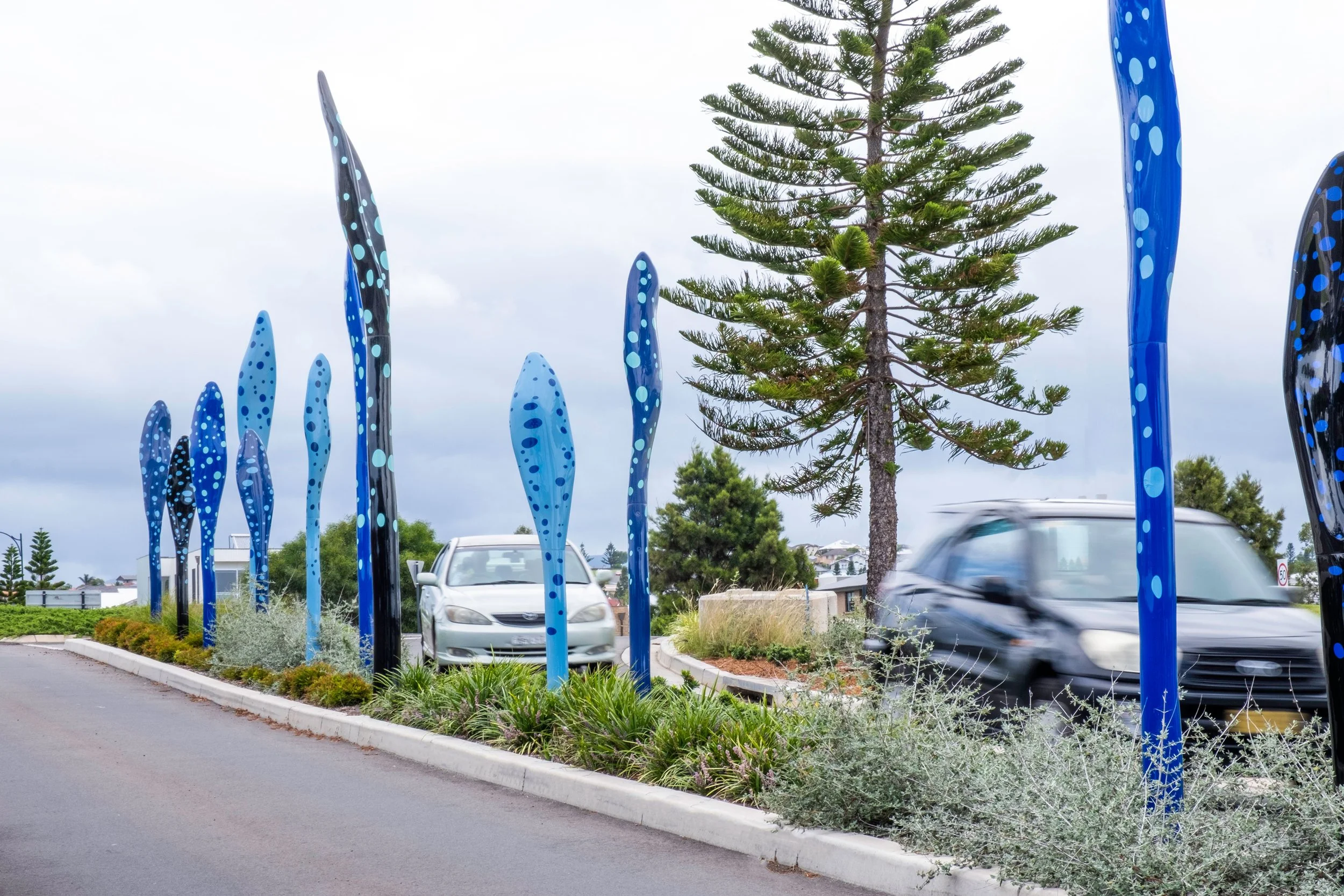 Shell Cove, Vera Moller