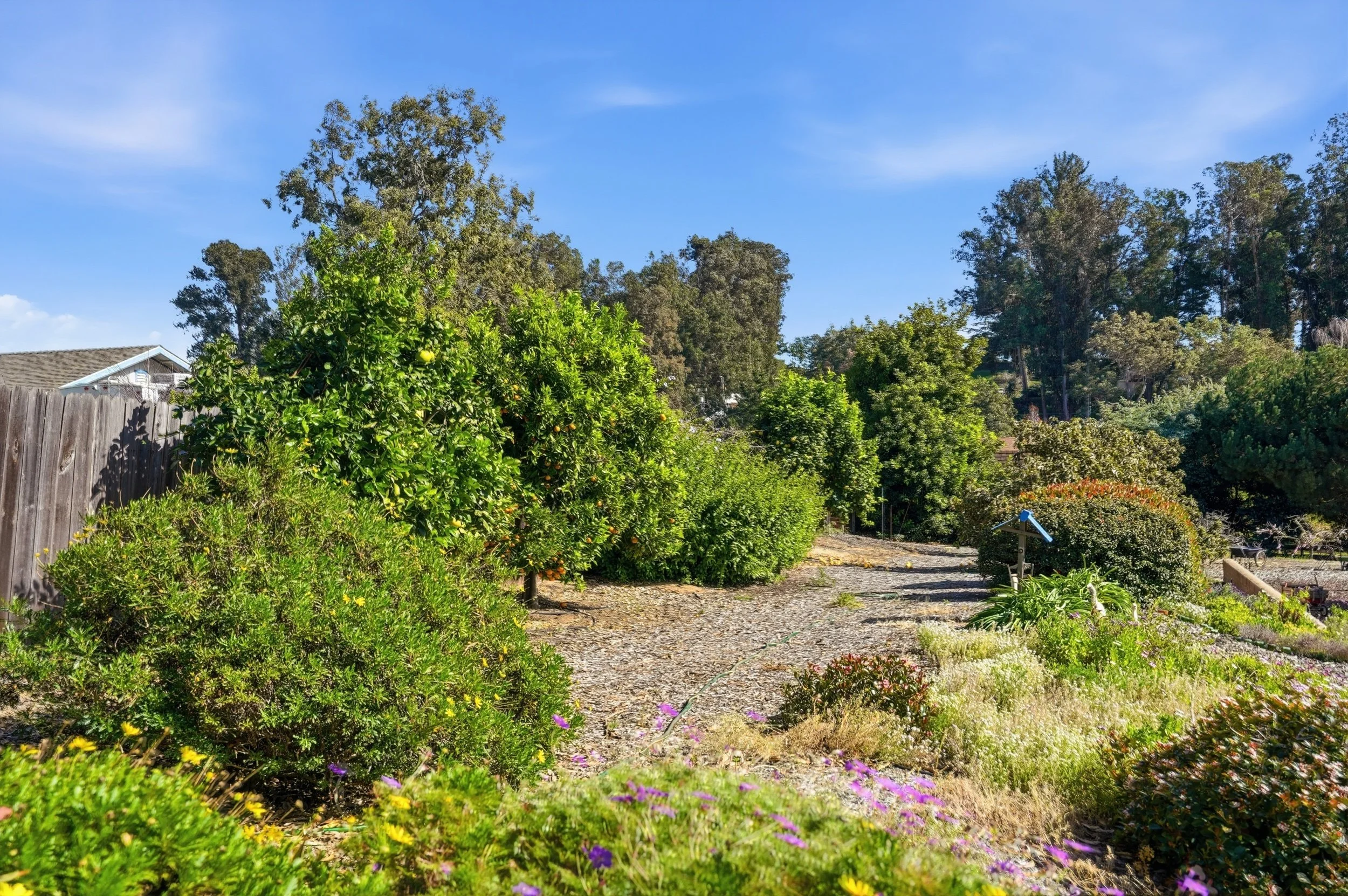 41_745 inga rd-41.jpg