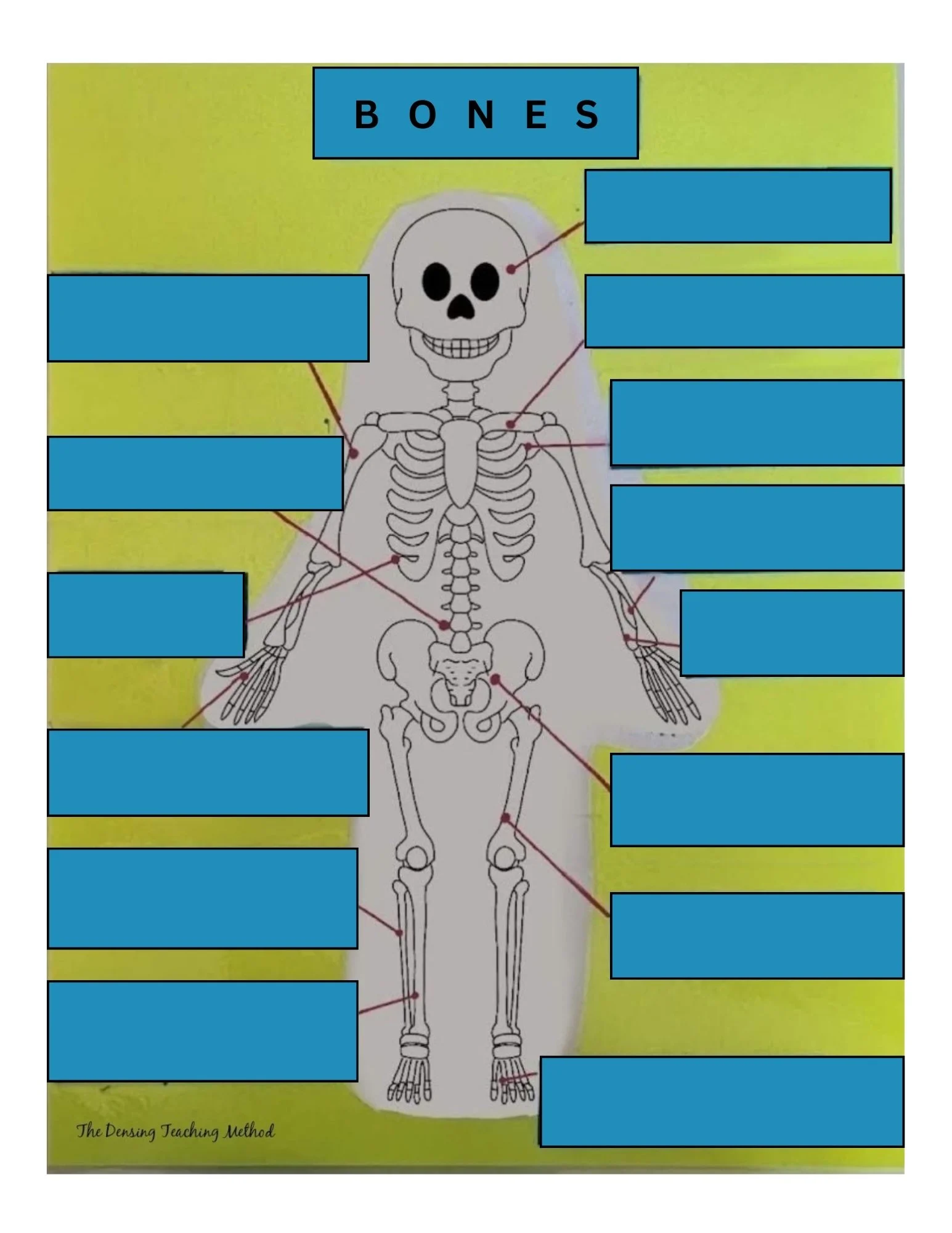 Book 3: Science & Geography - My Bones Card