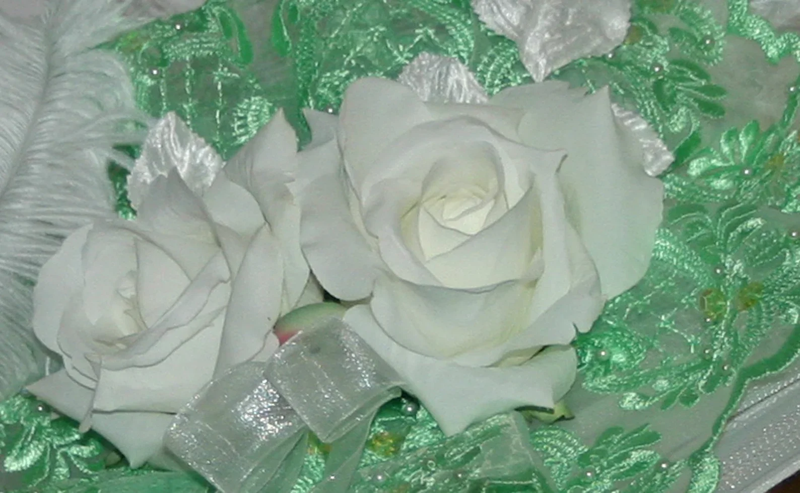 Green Lace background with white roses on white hat.